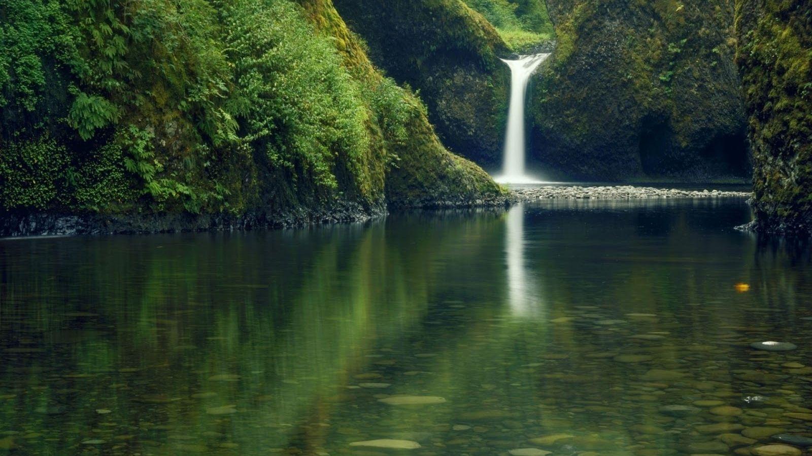 1600x900 Free download Lake Forest Full HD Waterfall Nature Wallpaper