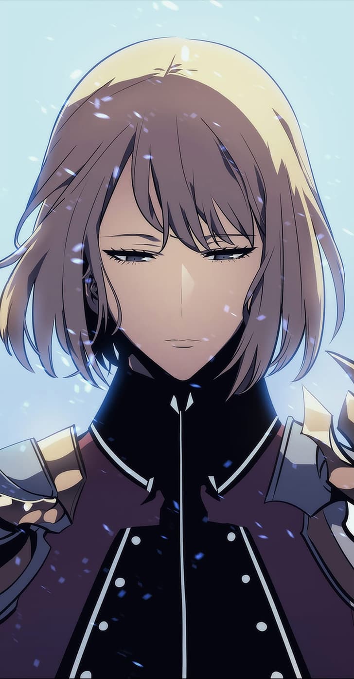 728x1393 HD wallpaper: manga, manga sketch, anime boys, anime girls, screen shot, Solo Leveling