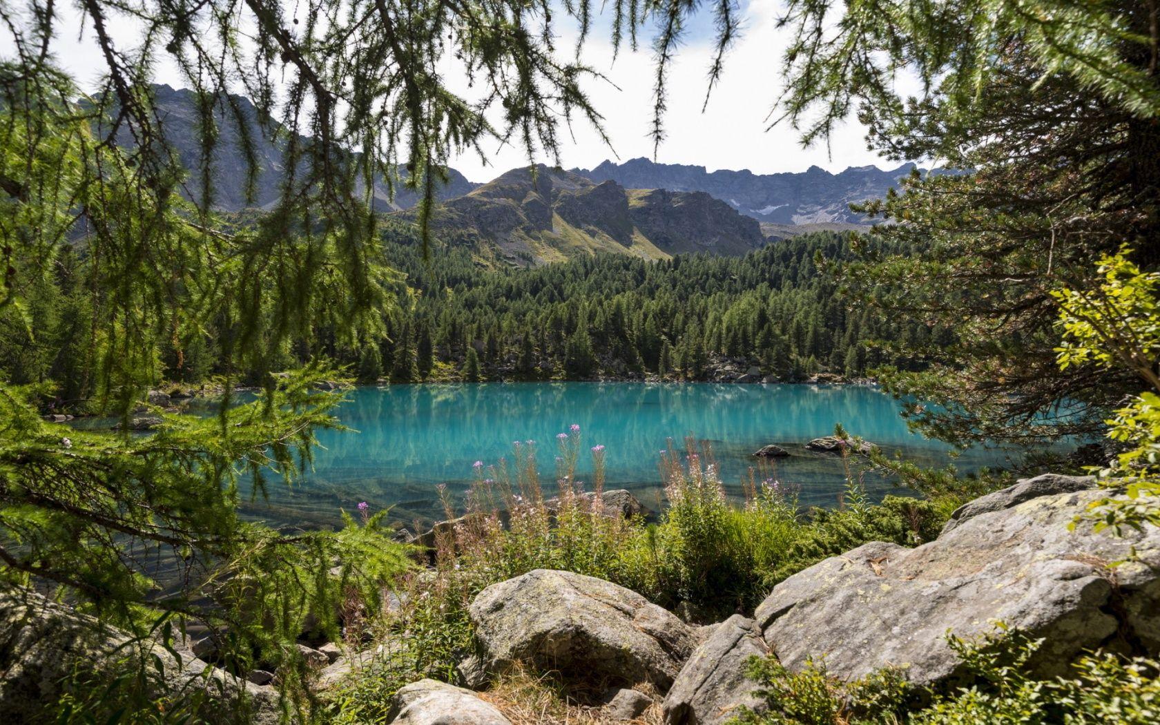 1680x1050 Lake Forest Wallpaper
