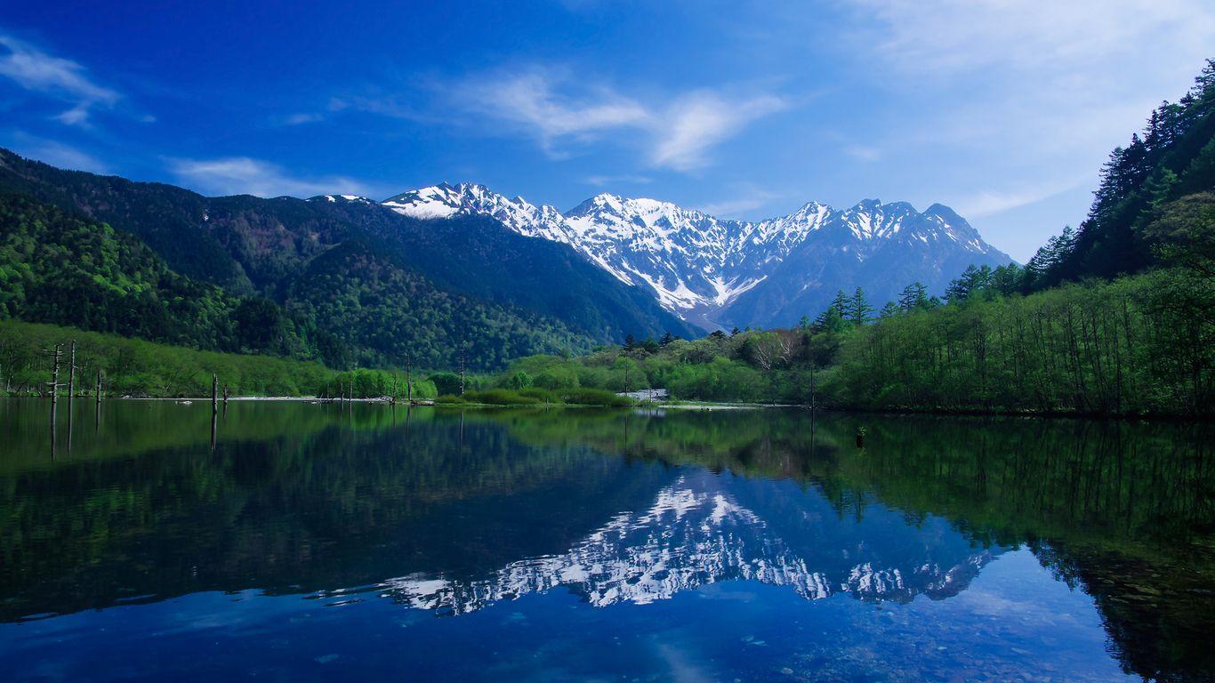 1366x768 Forest Lake Wallpaper