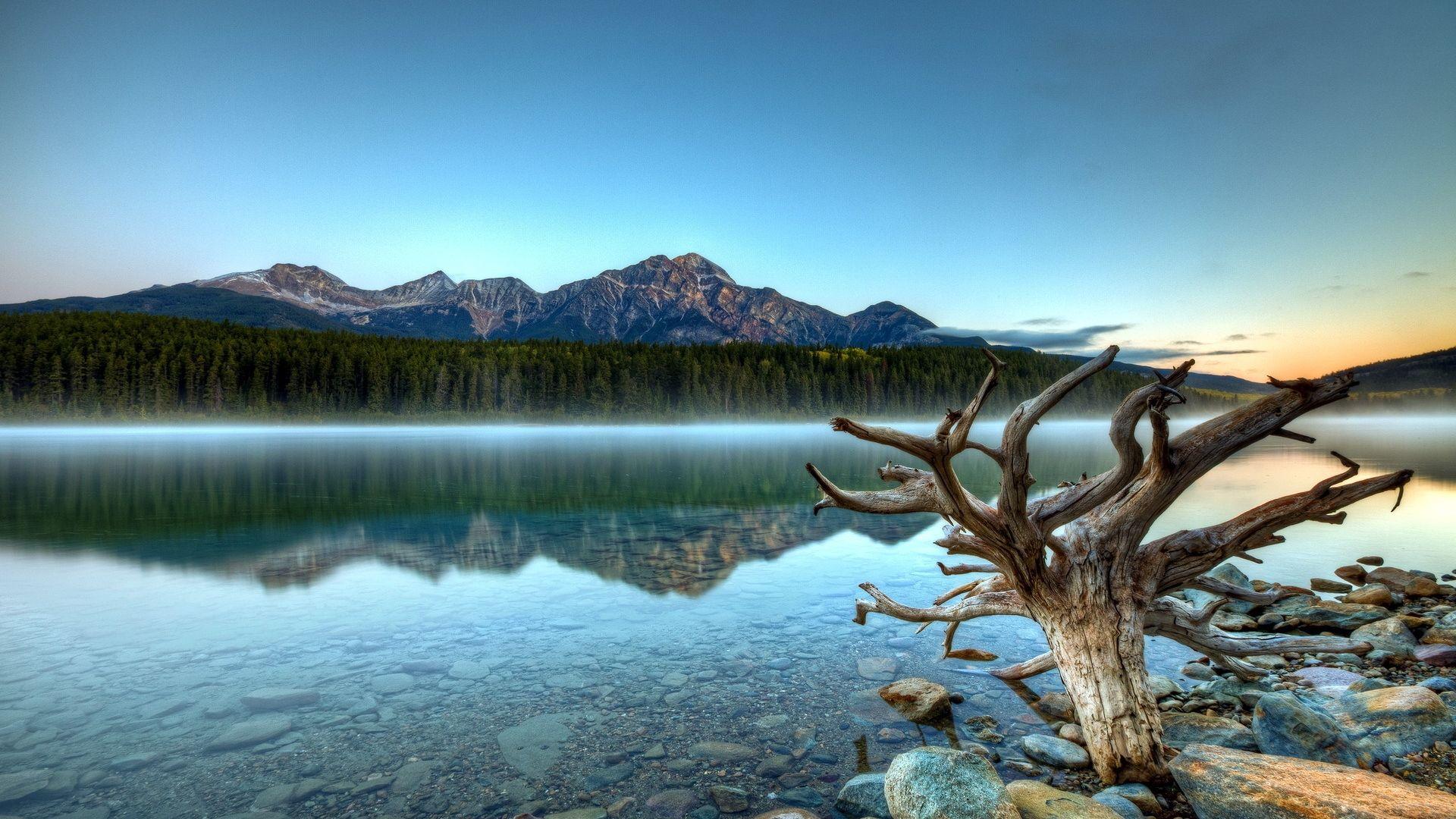 1920x1080 Free download Patricia Lake Forest Mountains HD Wallpaper