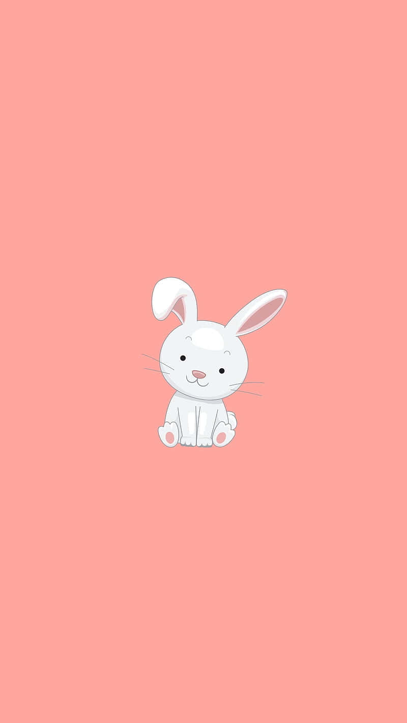 800x1422 Download Cute Cartoon Bunny Pink Background Wallpaper