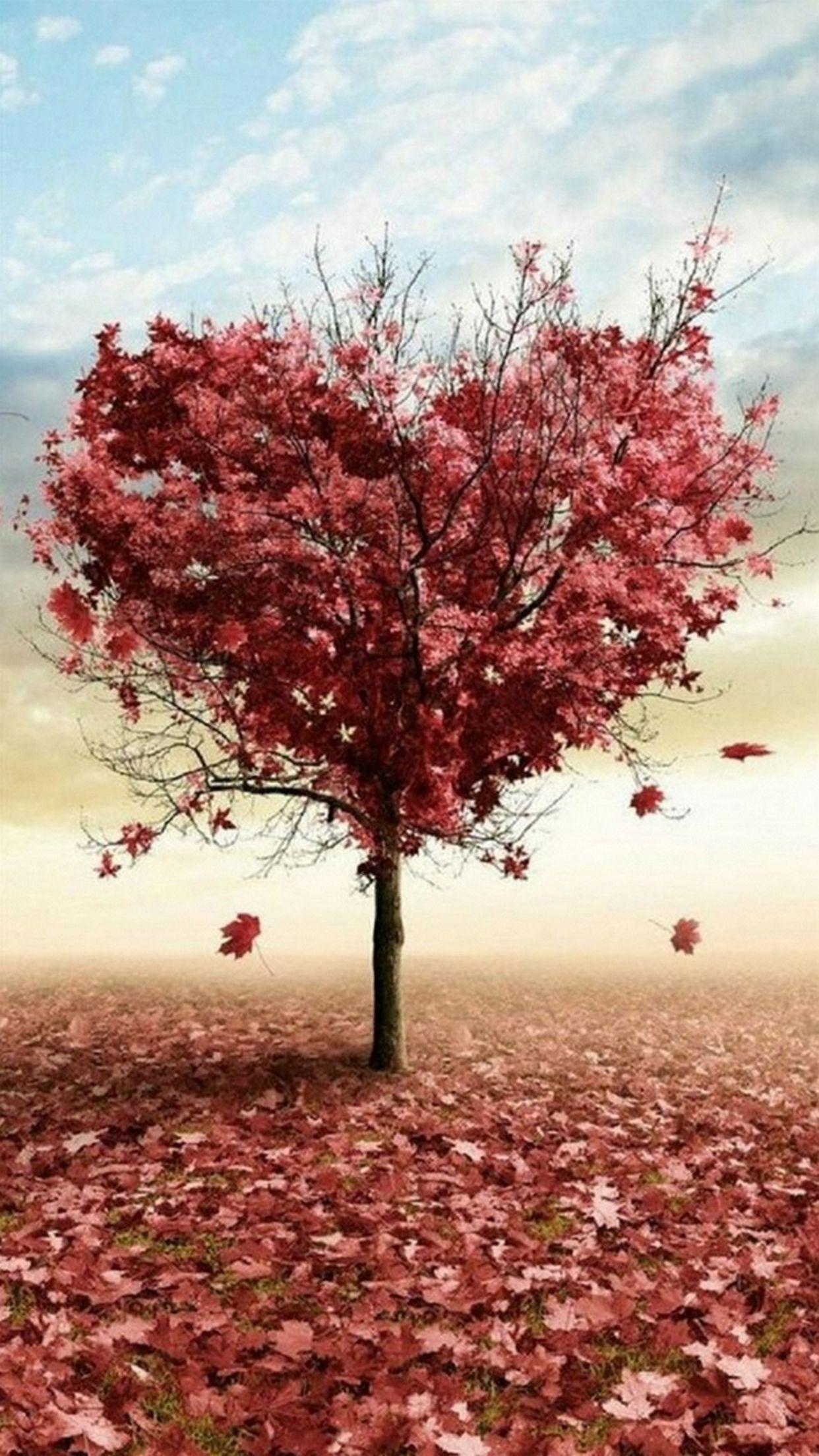 1242x2208 iPhone Nature And Love Wallpaper