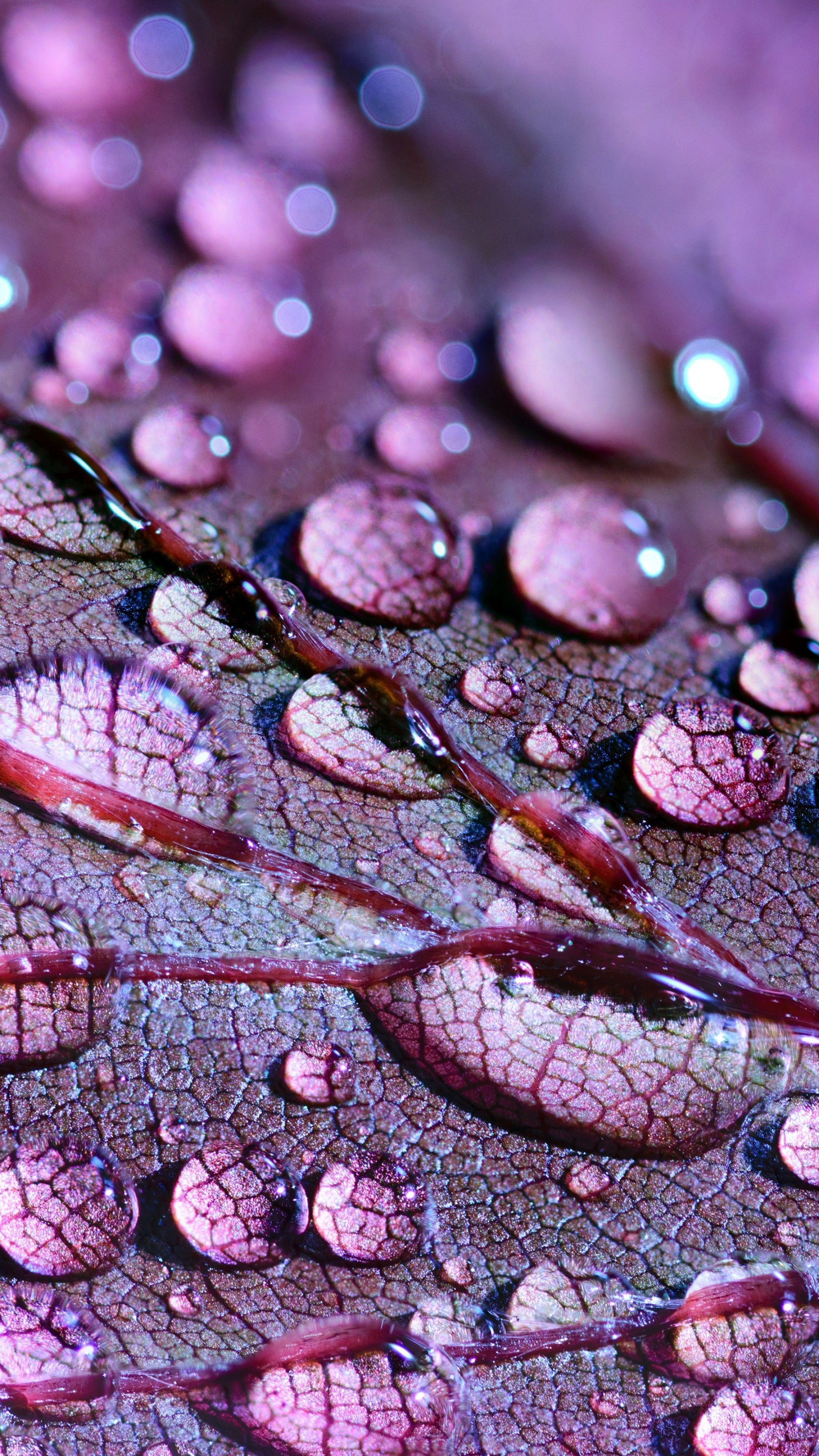 2160x3840 4k Water Drops Wallpaper