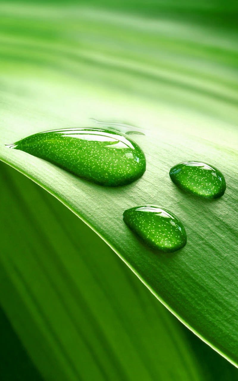 800x1280 Water Drop Live Wallpaper on Amazon Appstore