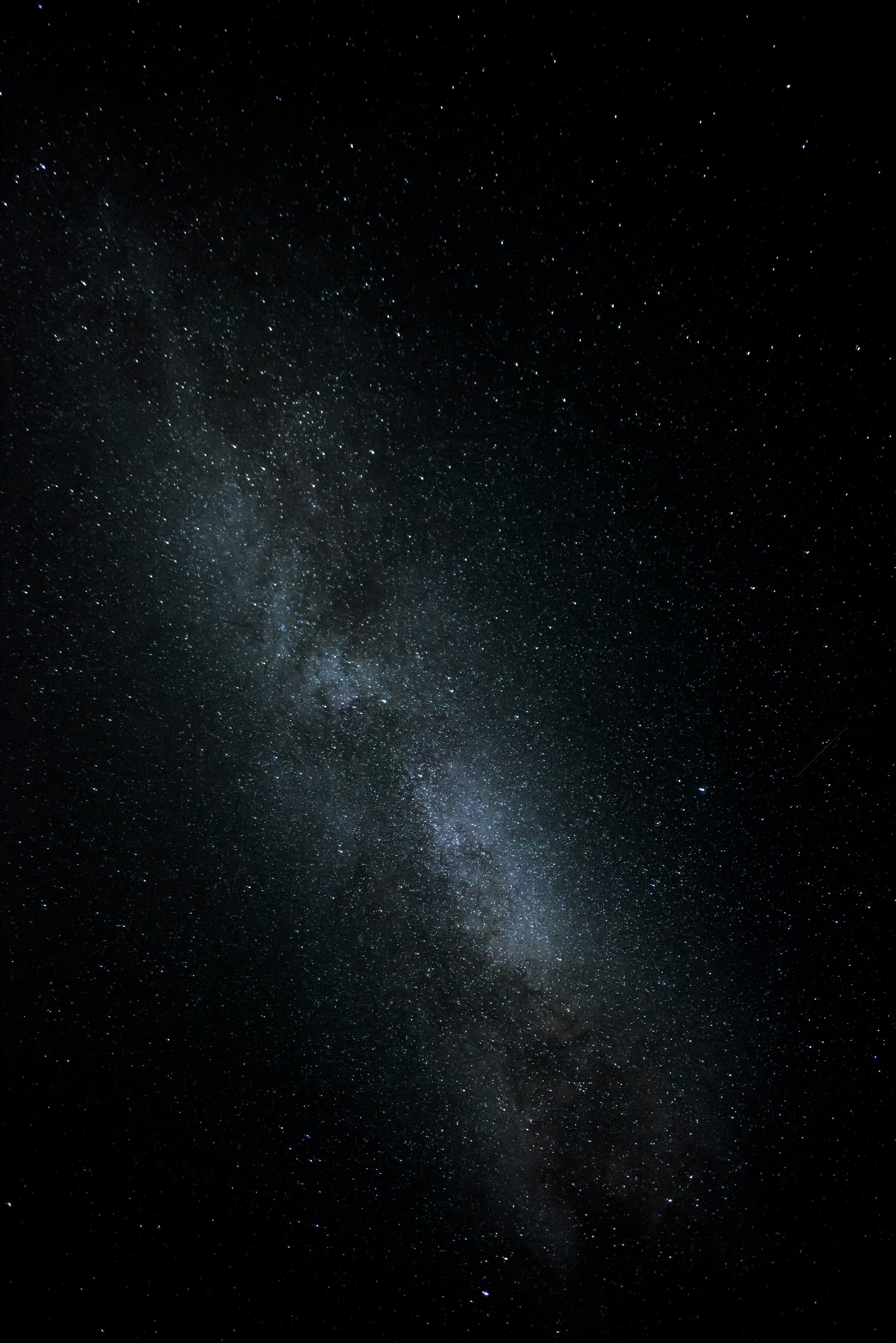 3000x4495 Black and white starry night photo