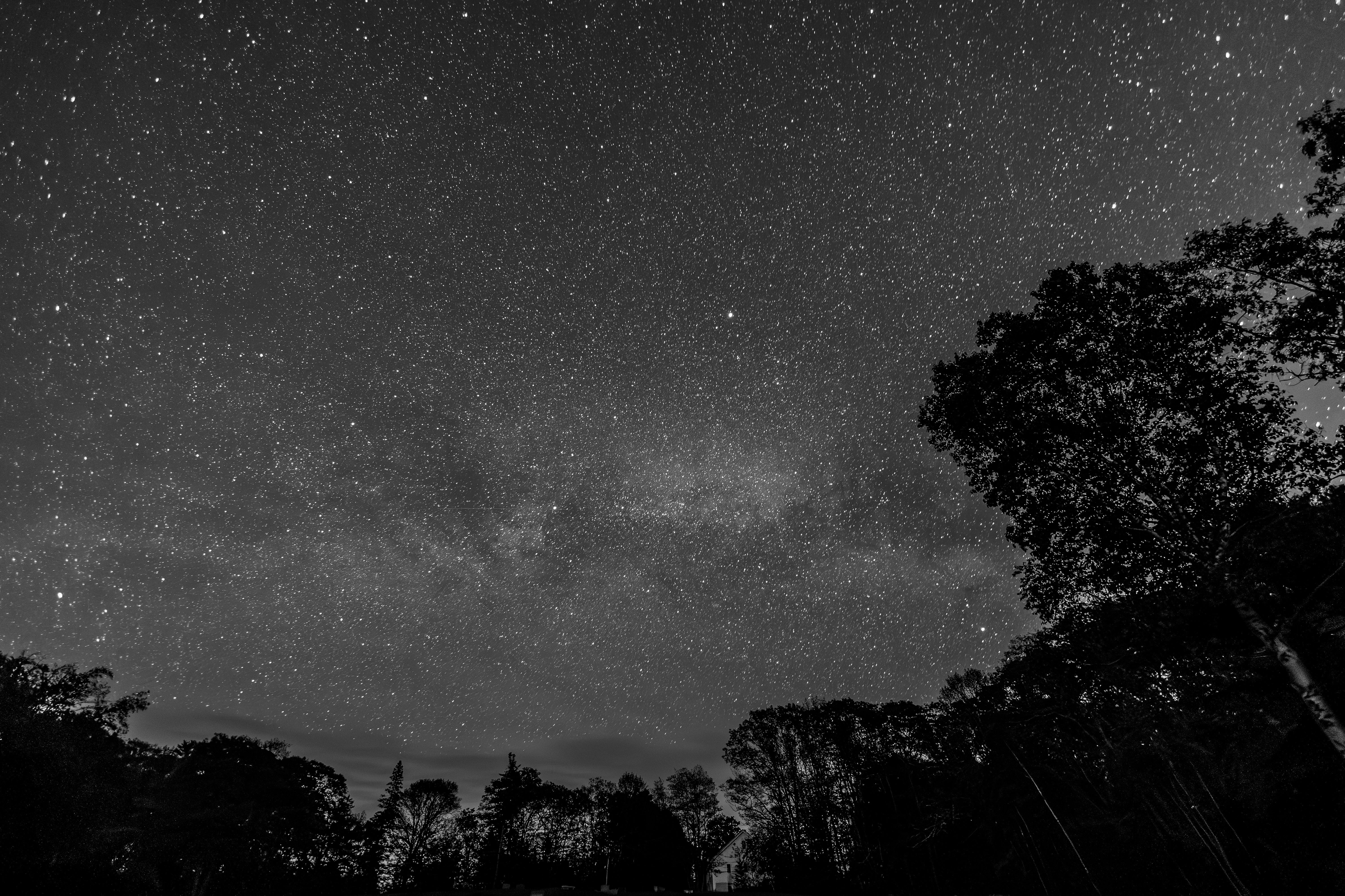 6000x4000 Stars in the Sky in Black and White · Free