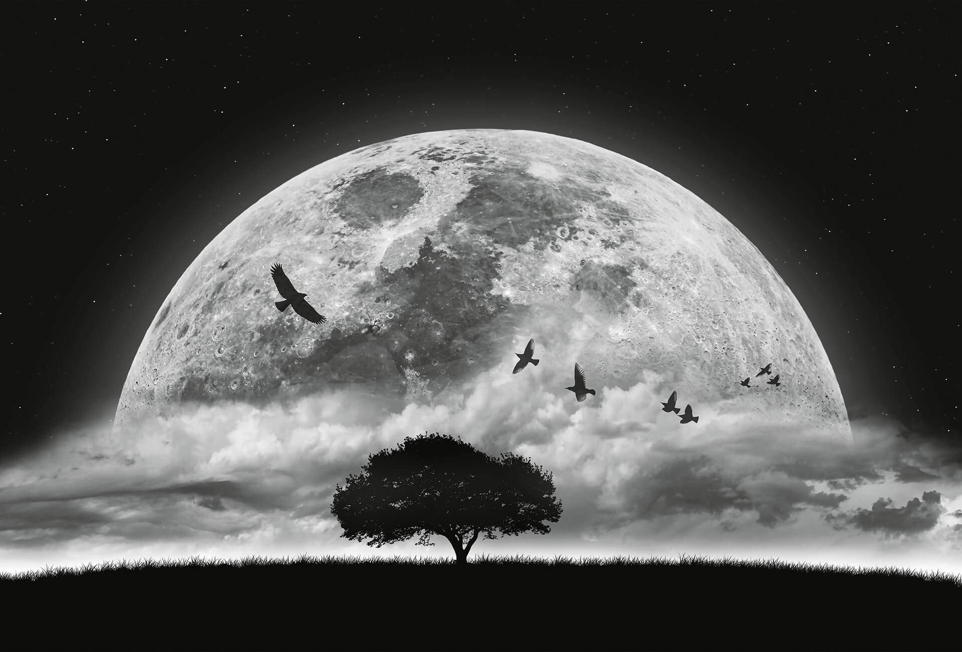 1920x1301 A.S. Création Wallpaper, Night Sky Full Moon Wallpaper in Black, White and Grey, Various Rooms