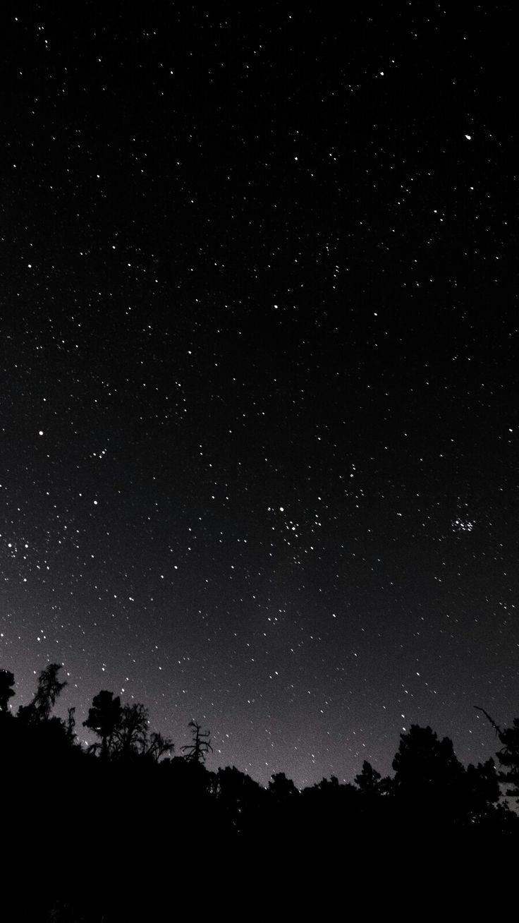 736x1308 Черный и Белый / Серый / Космос / Природа / Небо / Звезды. Dark sky wallpaper phone, Night sky phone background, Black aesthetic forest wallpaper