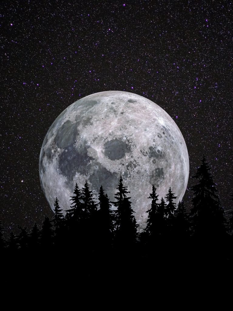 768x1024 Full moon Wallpaper 4K, Forest, Night, Dark, Starry sky