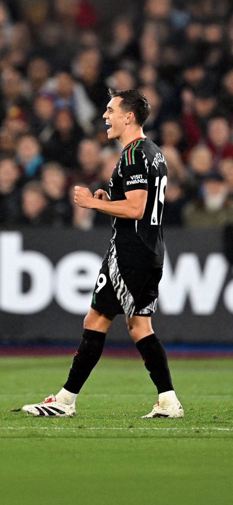 800x1733 Leandro Trossard celebrating for Arsenal Football Wallpaper