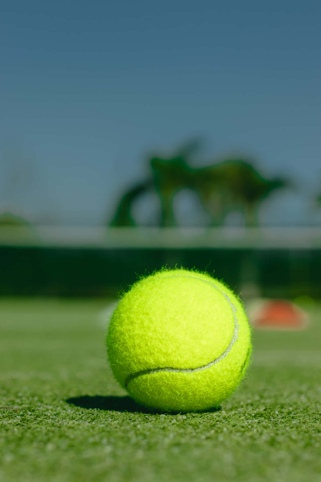 1280x1920 Download a tennis ball on a tennis court Wallpaper