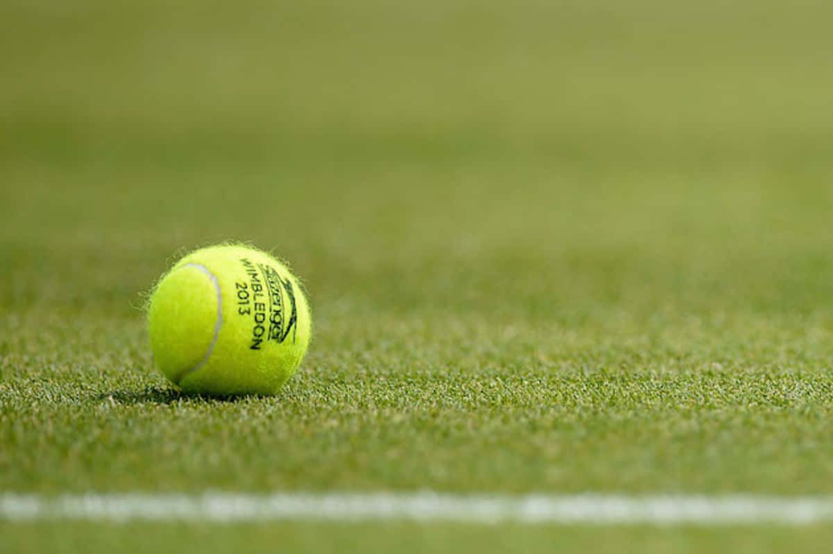 1200x798 Download A Tennis Ball On The Grass Wallpaper
