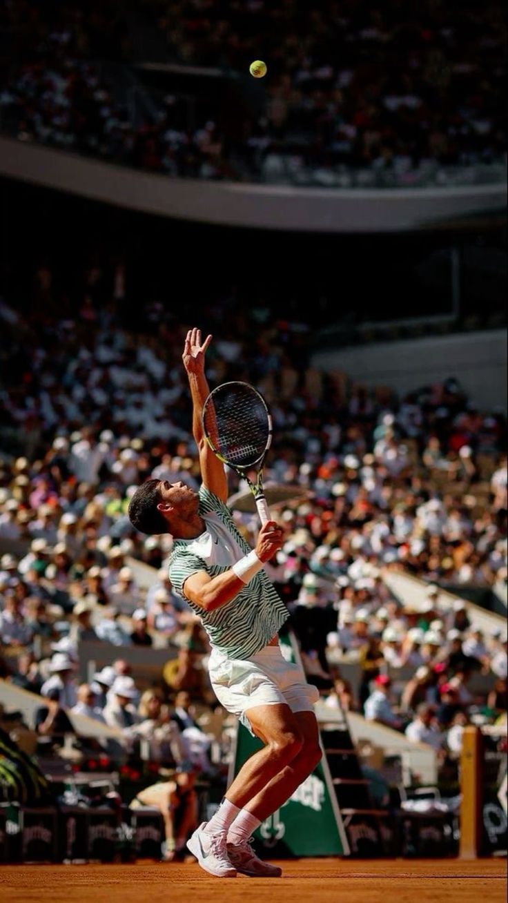 736x1308 Carlos Alacaraz playing lawn tennis