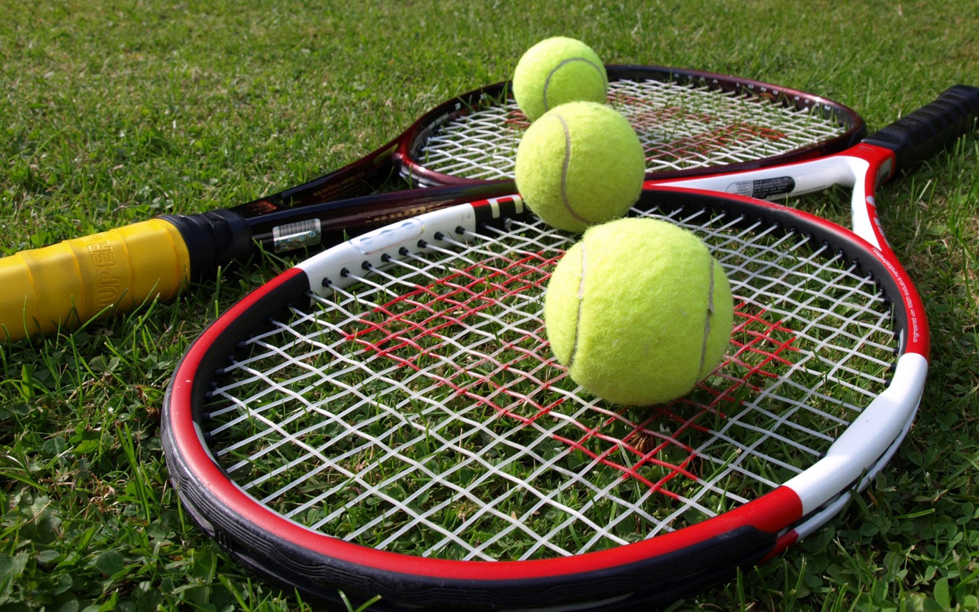 1920x1200 Lawn Tennis Wallpaper