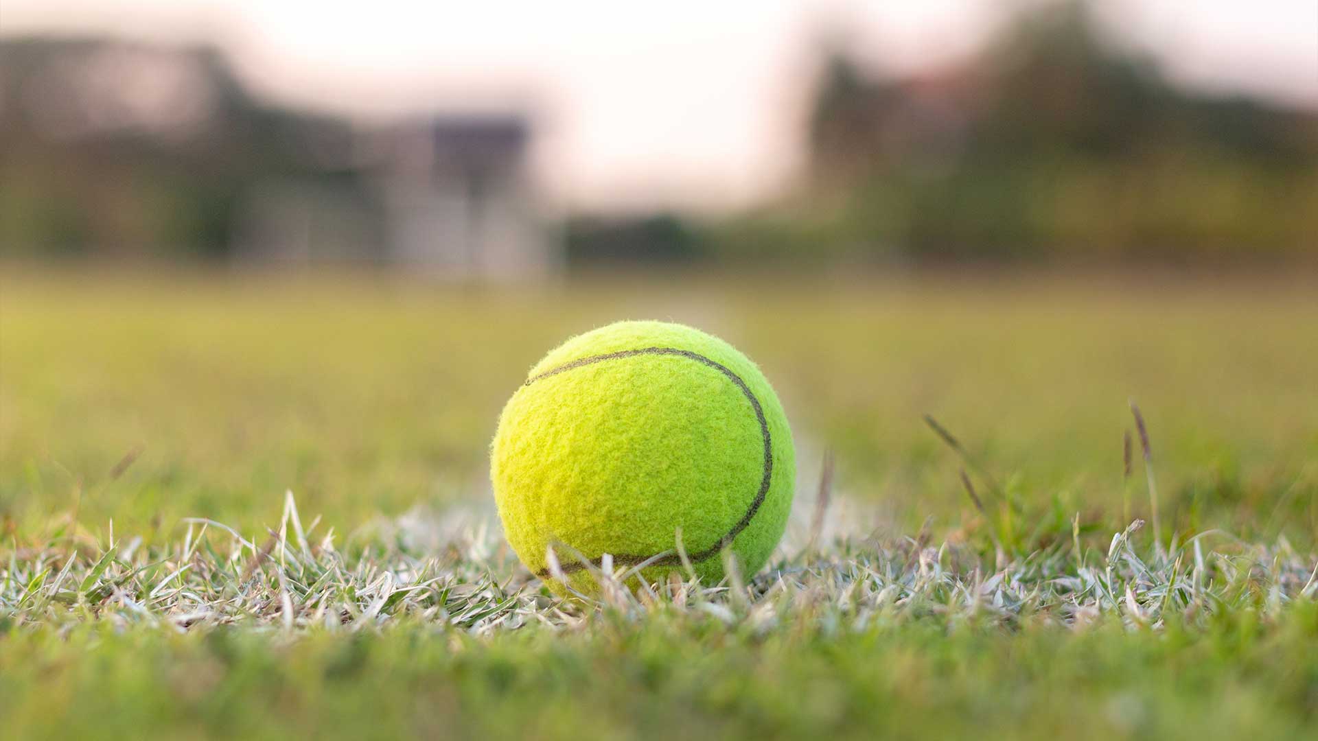 1920x1080 Ultimate Guide to Lawn Tennis 2026: Rules and Grass Specs