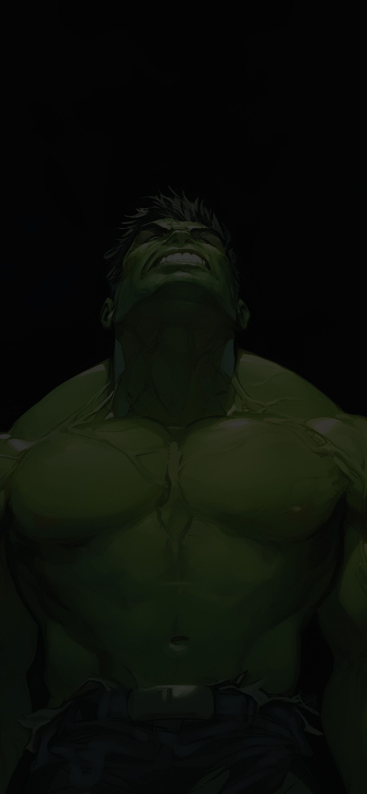 1212x2622 Hulk Unstoppable Rage Time Zone Wallpaper