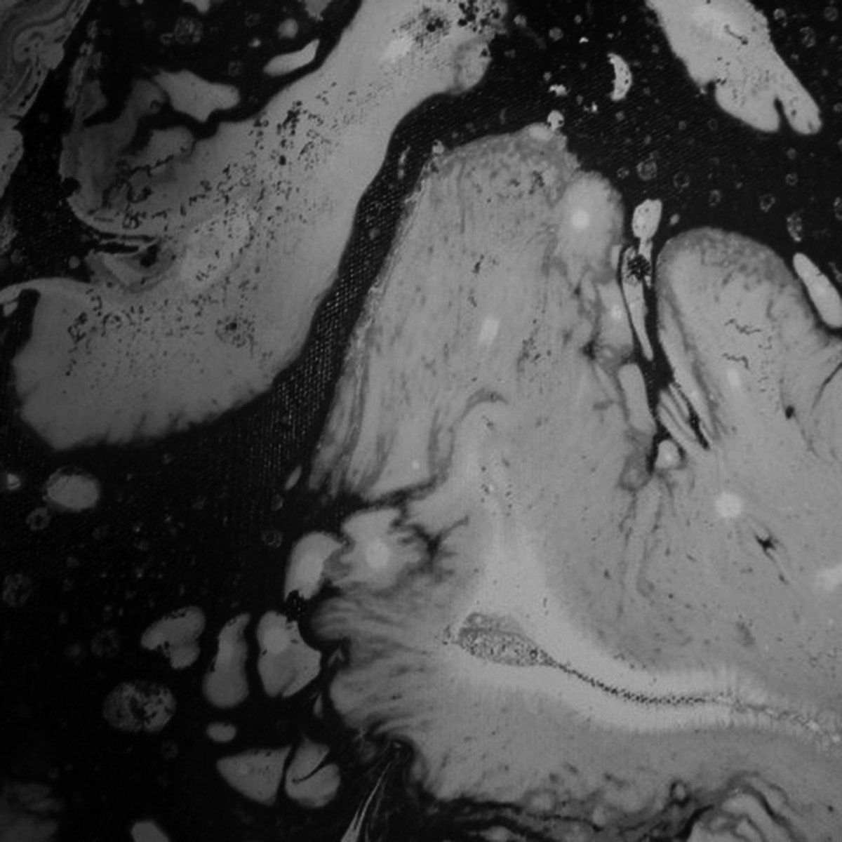 1200x1200 Gudden Owend. This One Is Another Also Ran From A Moon Shaped Pool. You Have To Imagine It Moving. I Caught It At Not Quite The Right Moment