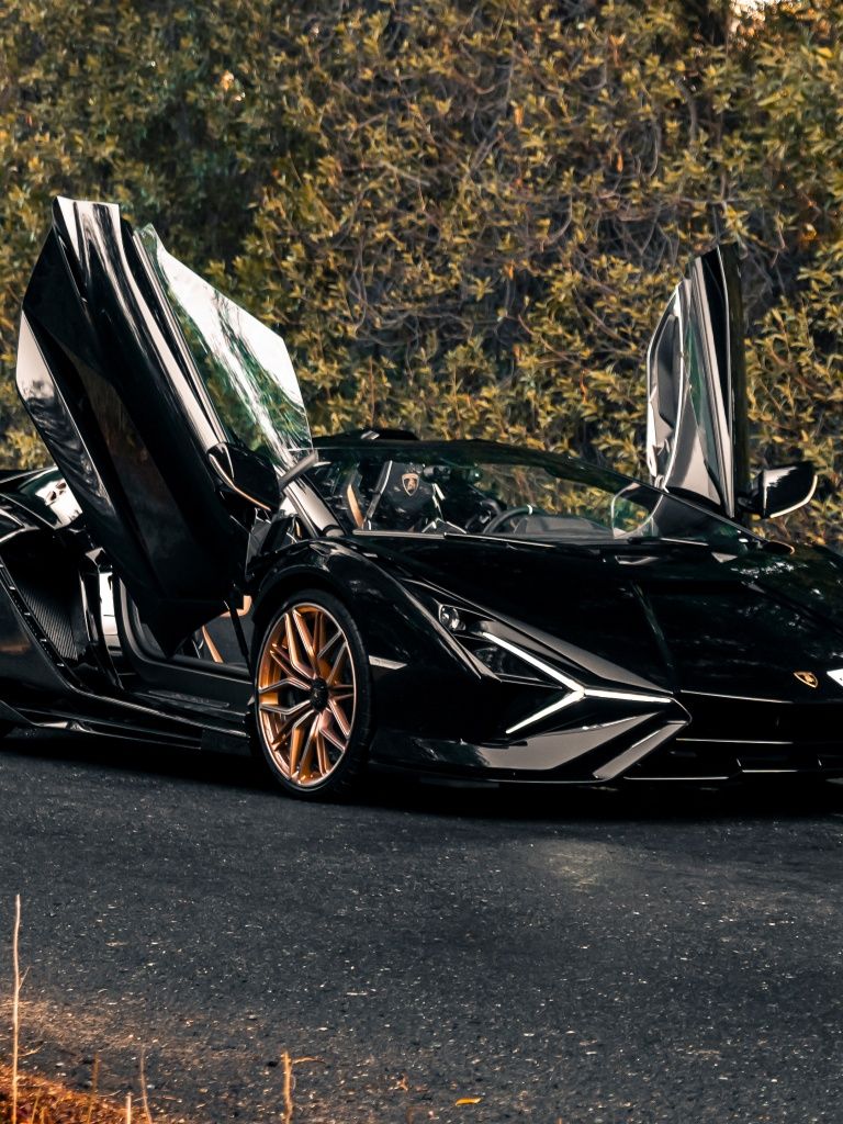 768x1024 Lamborghini Sián Roadster Wallpaper 4K, Black cars