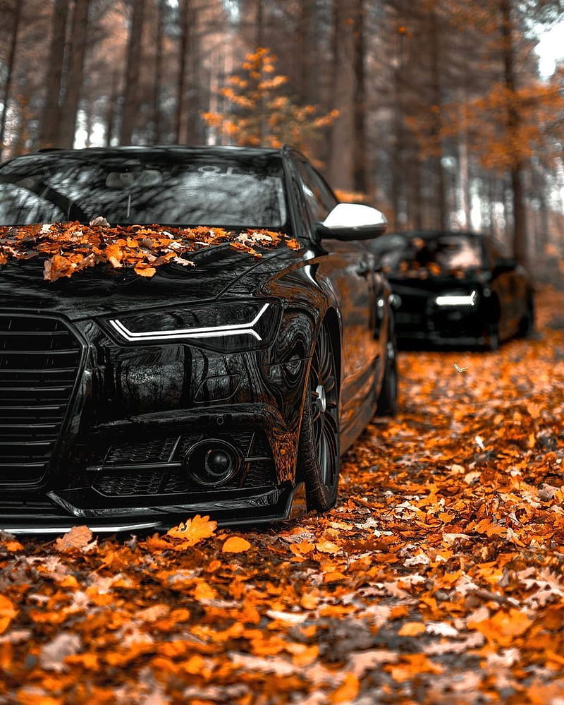 800x999 Araba, black, car, carros, gle, HD phone wallpaper