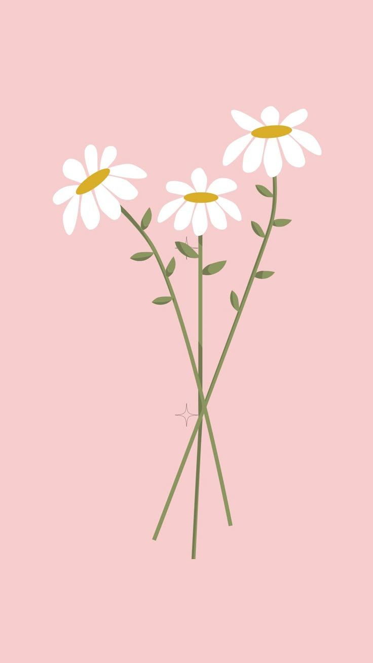 736x1308 Daisy wallpaper