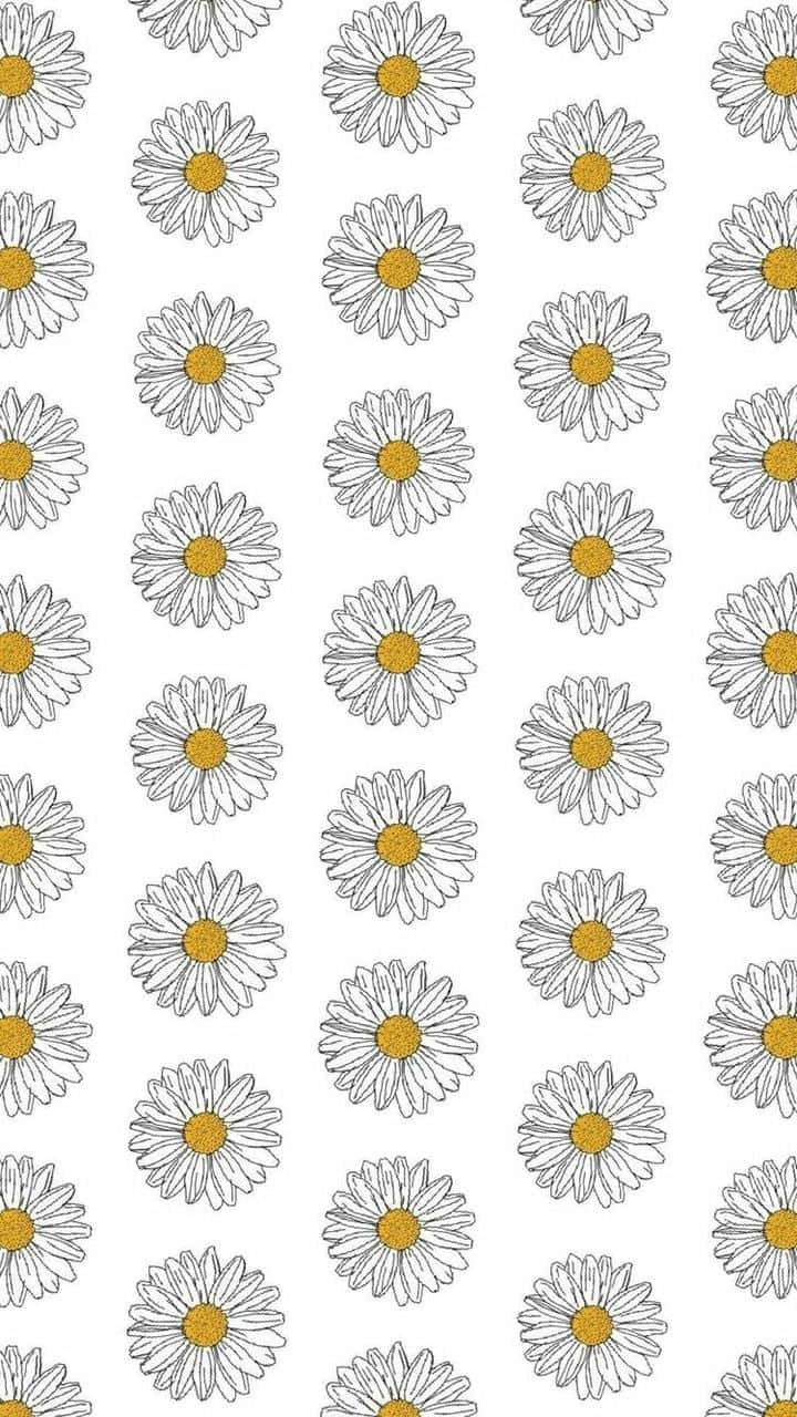 720x1280 Download Aesthetic Daisy Pattern Drawing Wallpaper
