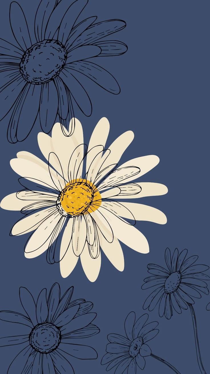 736x1308 daisyy wallpaper