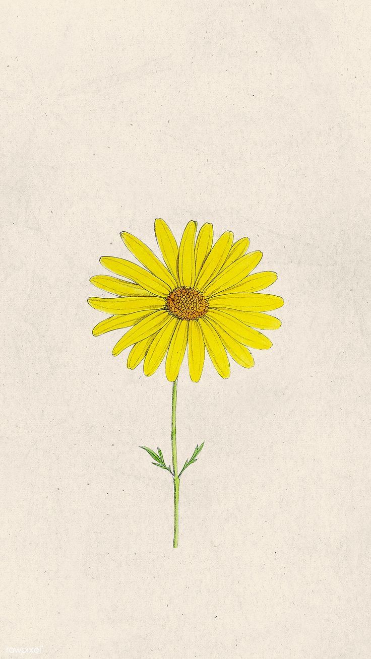 736x1308 Download premium image of Hand drawn yellow flower on beige mobile wallpaper by Sasi about wallpaper daisy phone, phone wallpaper, daisy, iphone wallpaper, and colorful pattern phone background 2094471