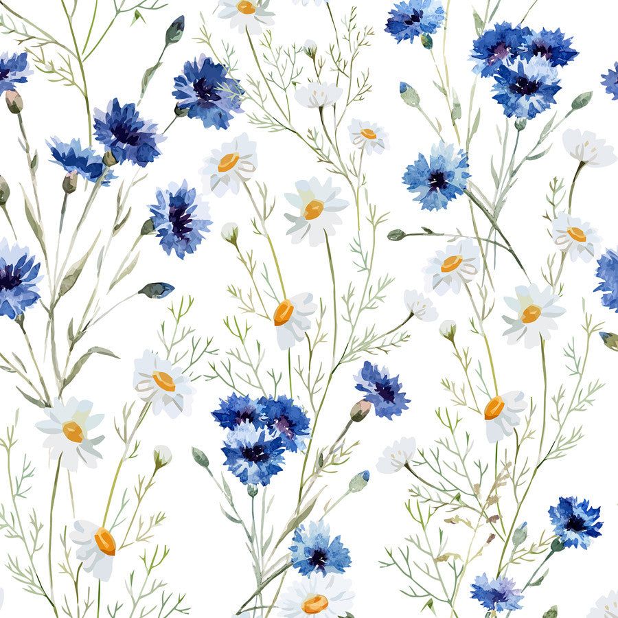 900x900 Daisy Delight