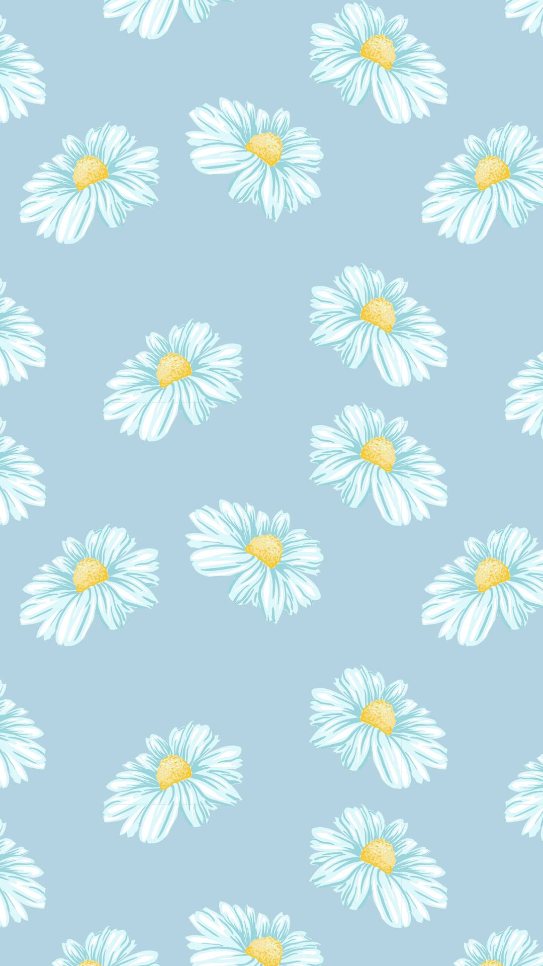 1080x1920 Download Pretty Aesthetic Daisies Wallpaper