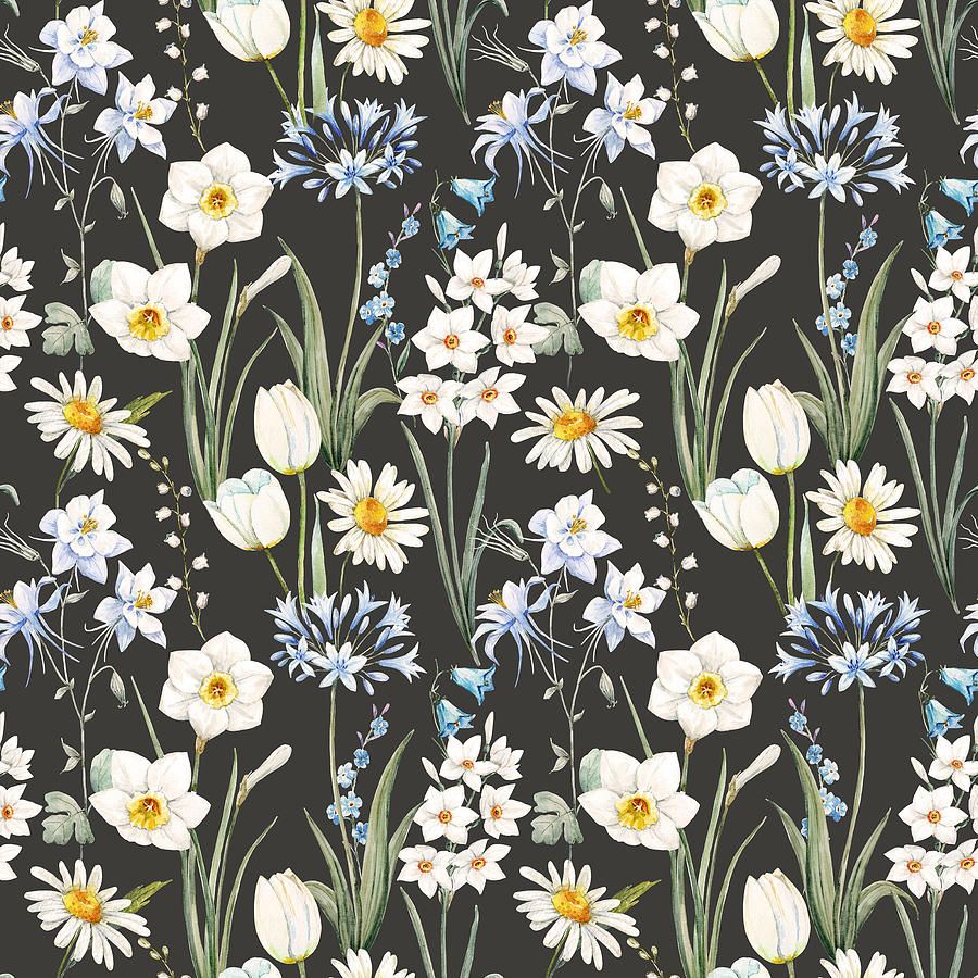 900x900 Watercolor botanical floral pattern with daffodil flowers daisy white blue aquilegia Drawing