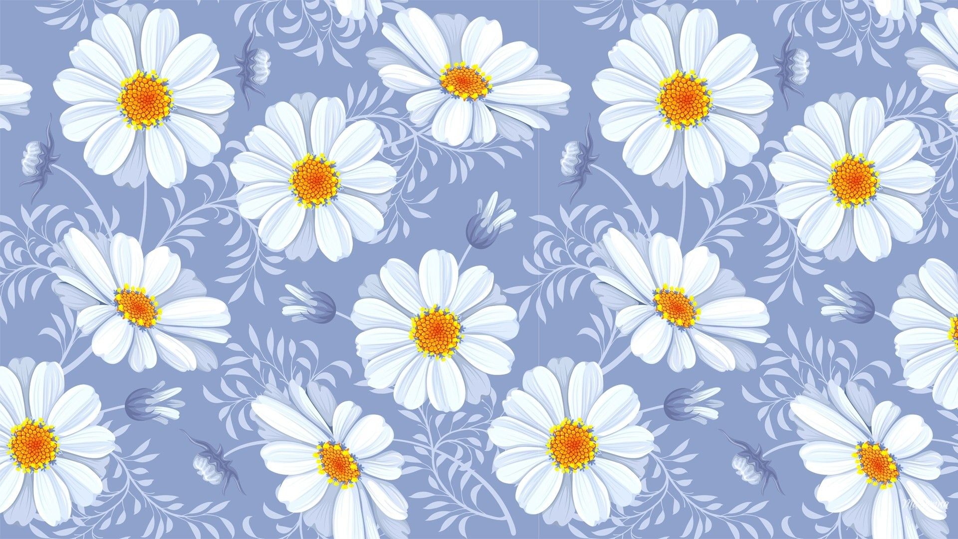 1920x1080 Download Daisy White Flower Nature Camomile Flower 4k Ultra HD Wallpaperx3456