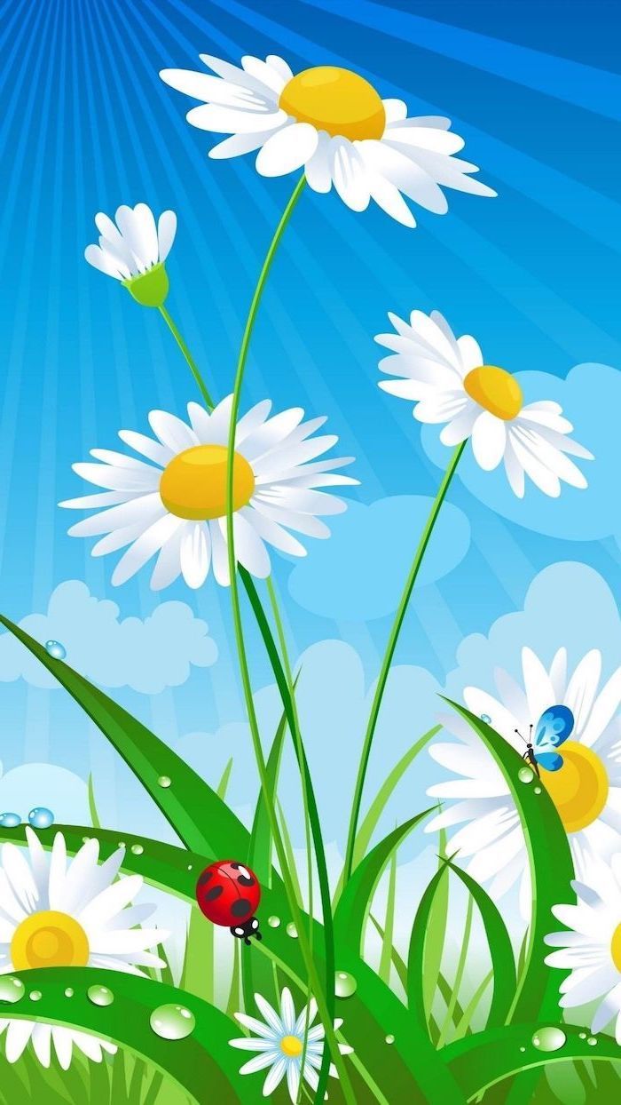700x1244 Daisy Spring Wallpaper