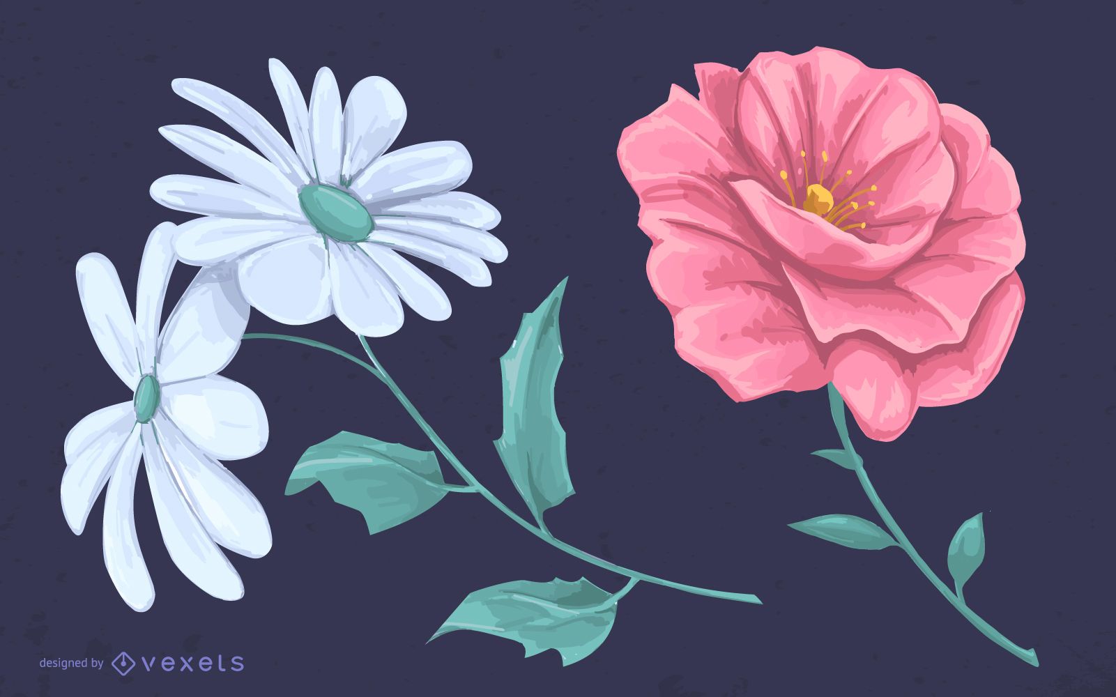 1601x1000 Daisy flower Vector & Graphics to Download