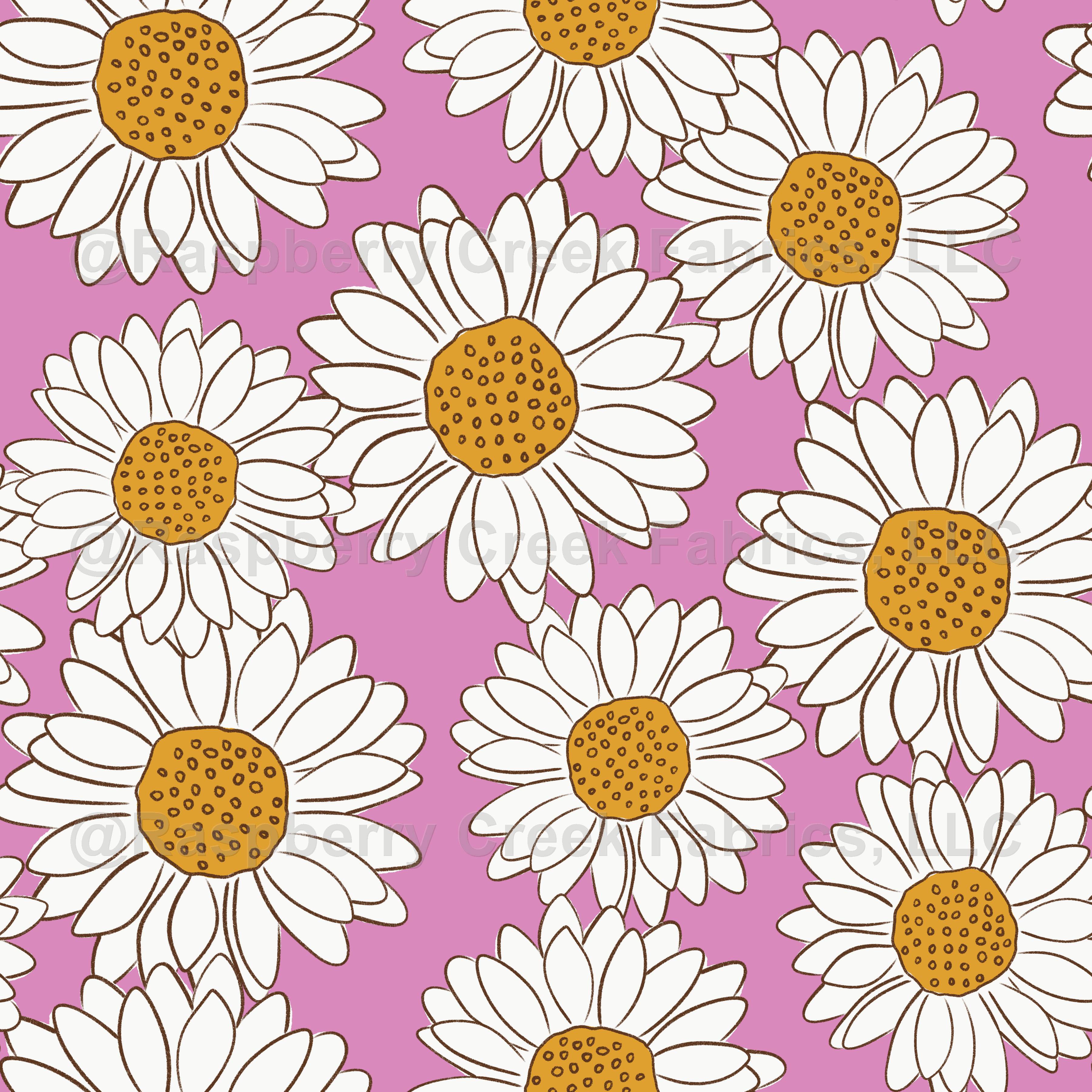 3600x3600 White Daisies on Bright Purple