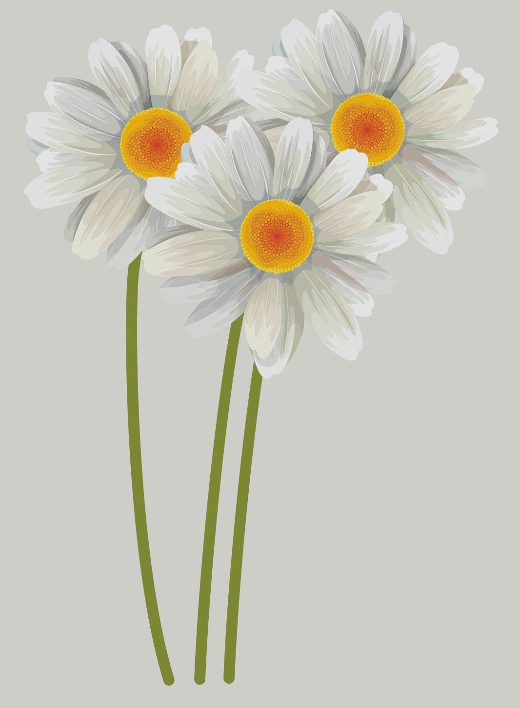 1066x1452 Daisy decals