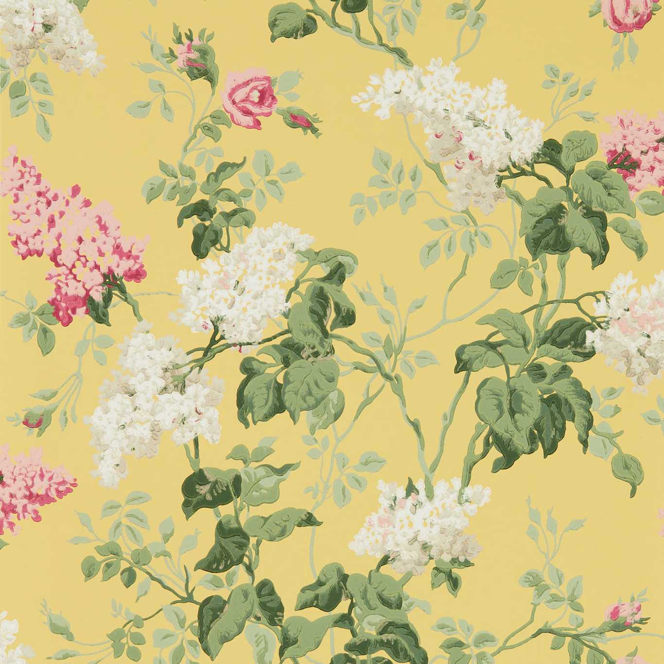 1366x1366 Sommerville Wallpaper