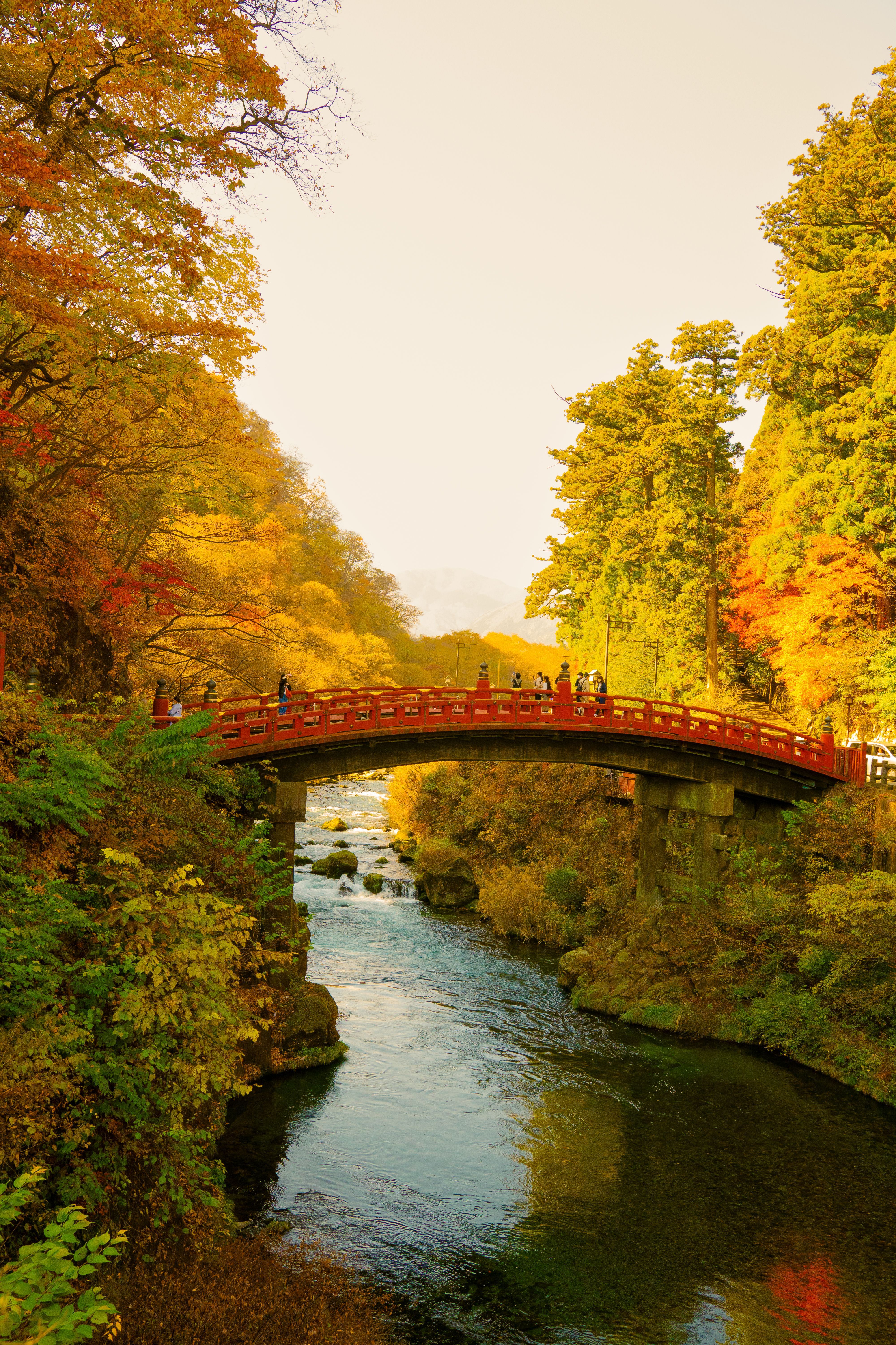 4000x6000 Nikko Photo, Download The BEST Free Nikko & HD Image