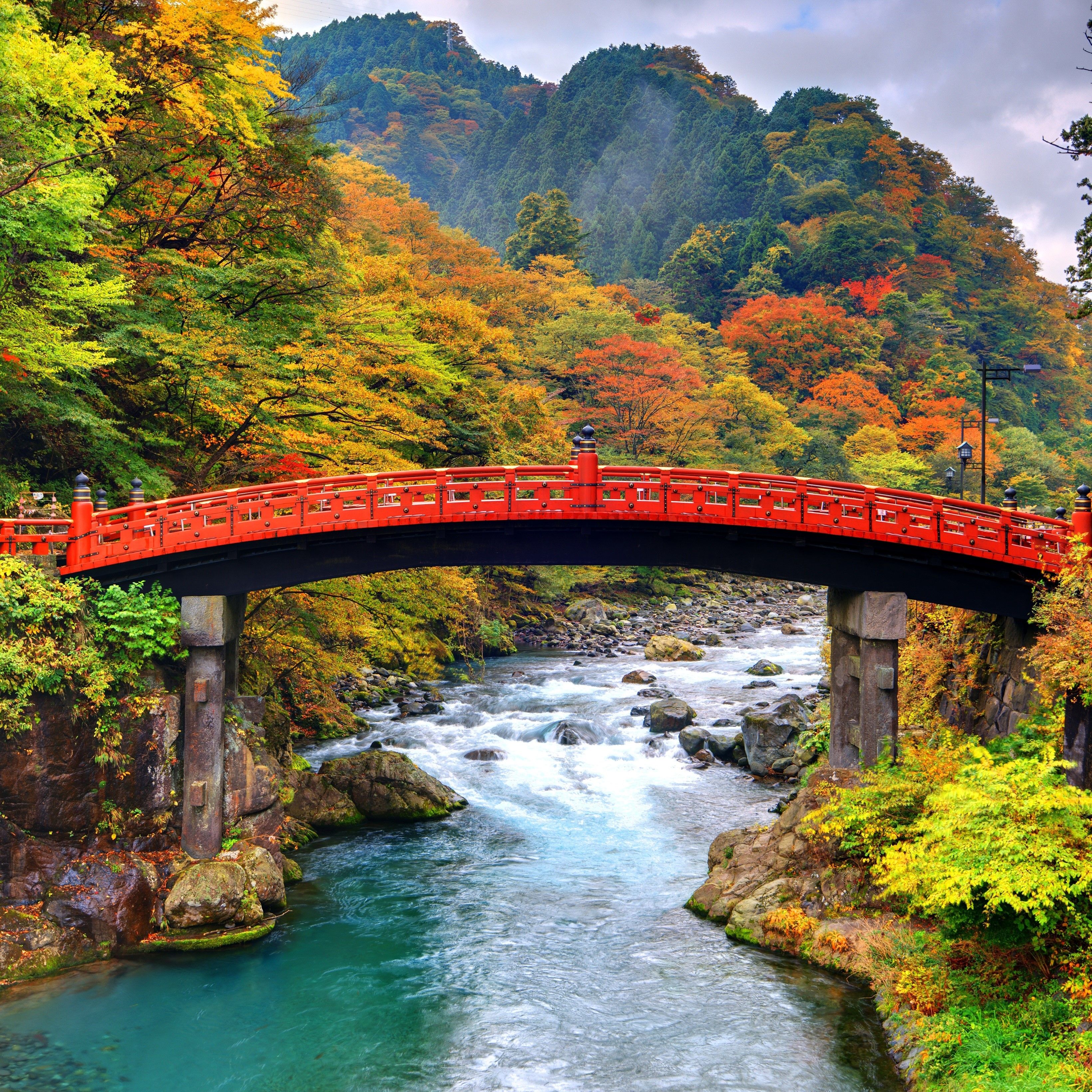3281x3281 Nikko Wallpaper