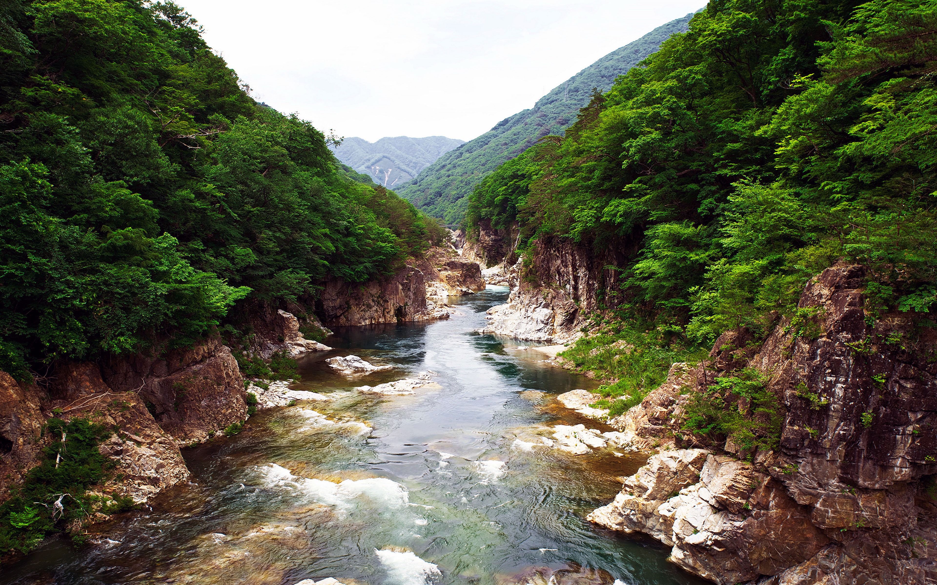 3840x2400 Japan Nikko National Park Forest Rivers