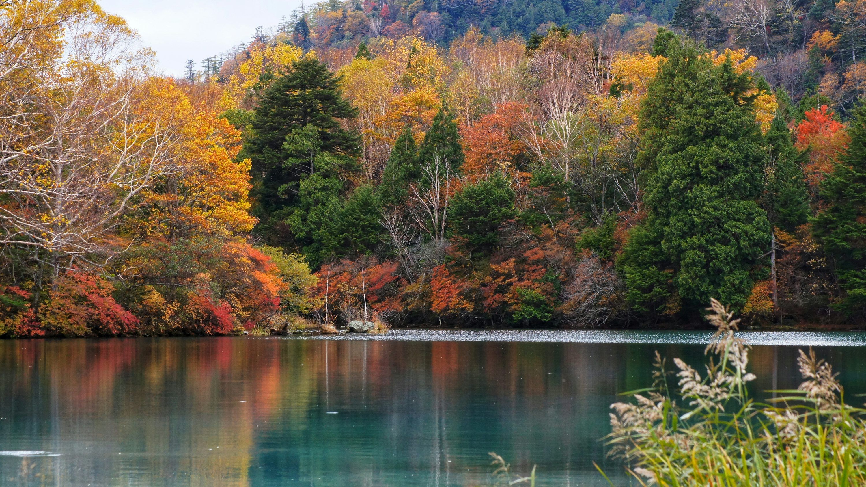 3000x1686 Nikko Picture. Download Free Image