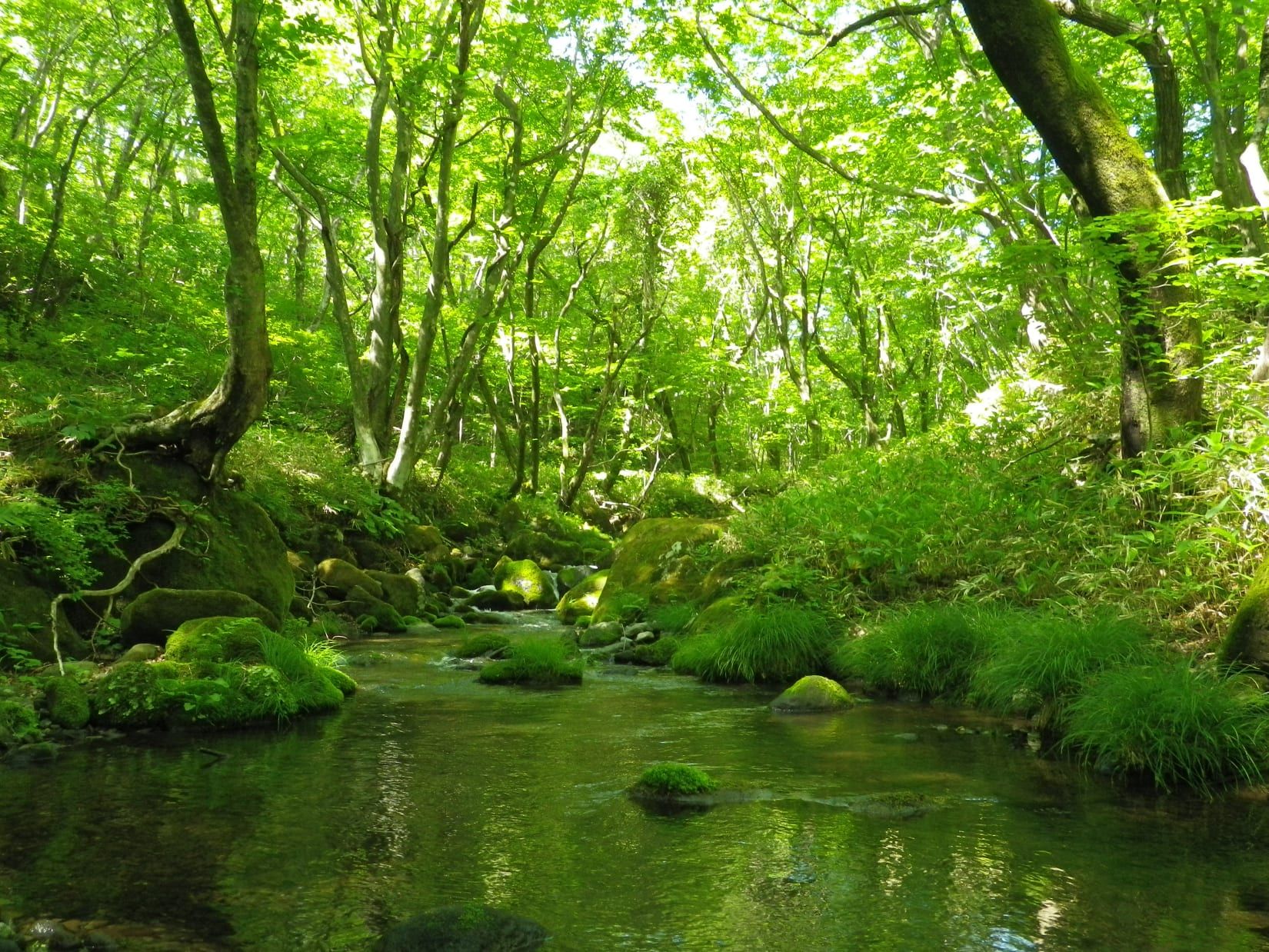 1650x1238 Nikko Story. National Parks of Japan