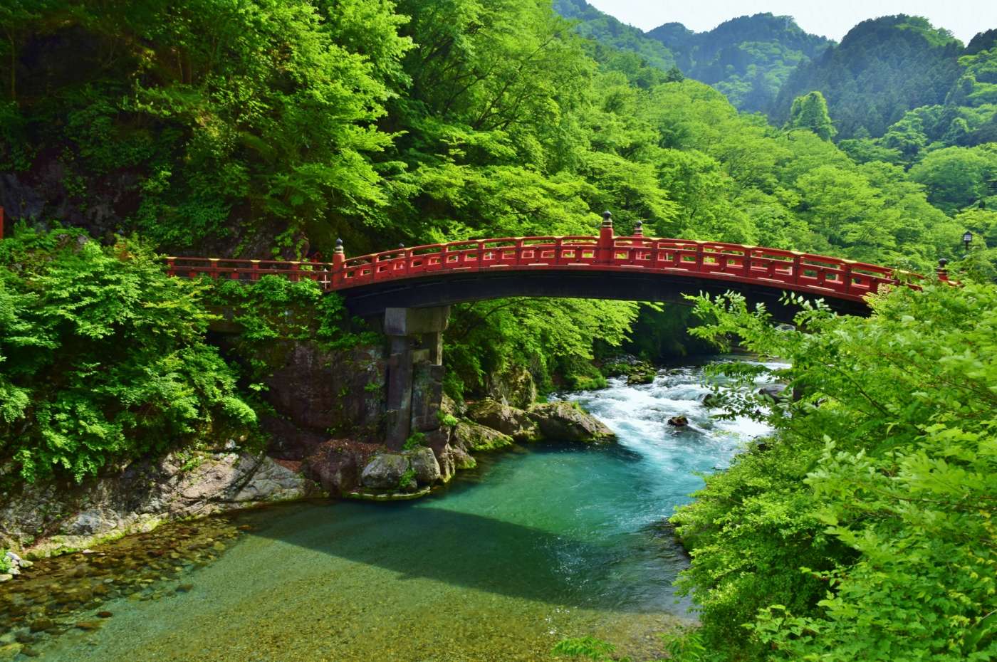 1400x930 Shinrin Yoku, The Japanese Art Of Forest Bathing. JAPAN Monthly Web Magazine