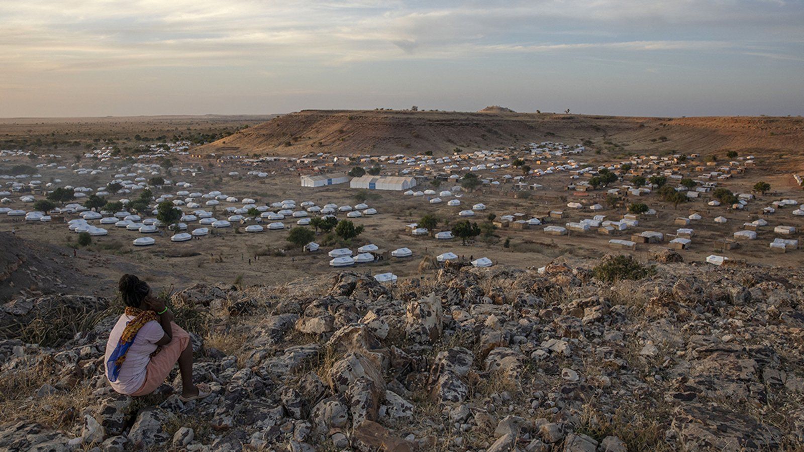 1600x900 The War on Tigray Wiped Out Decades of Environmental Progress. How to Start Again