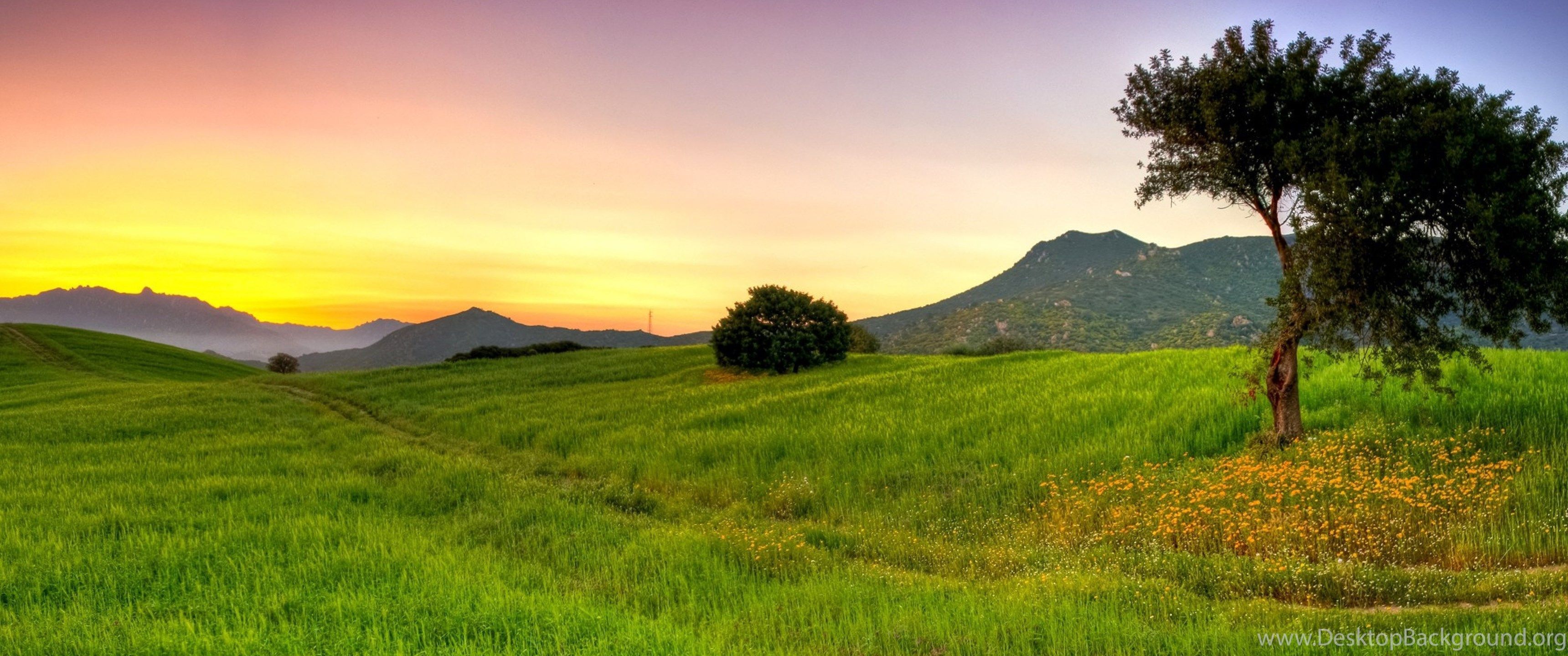 3440x1440 Summer Wallpaper