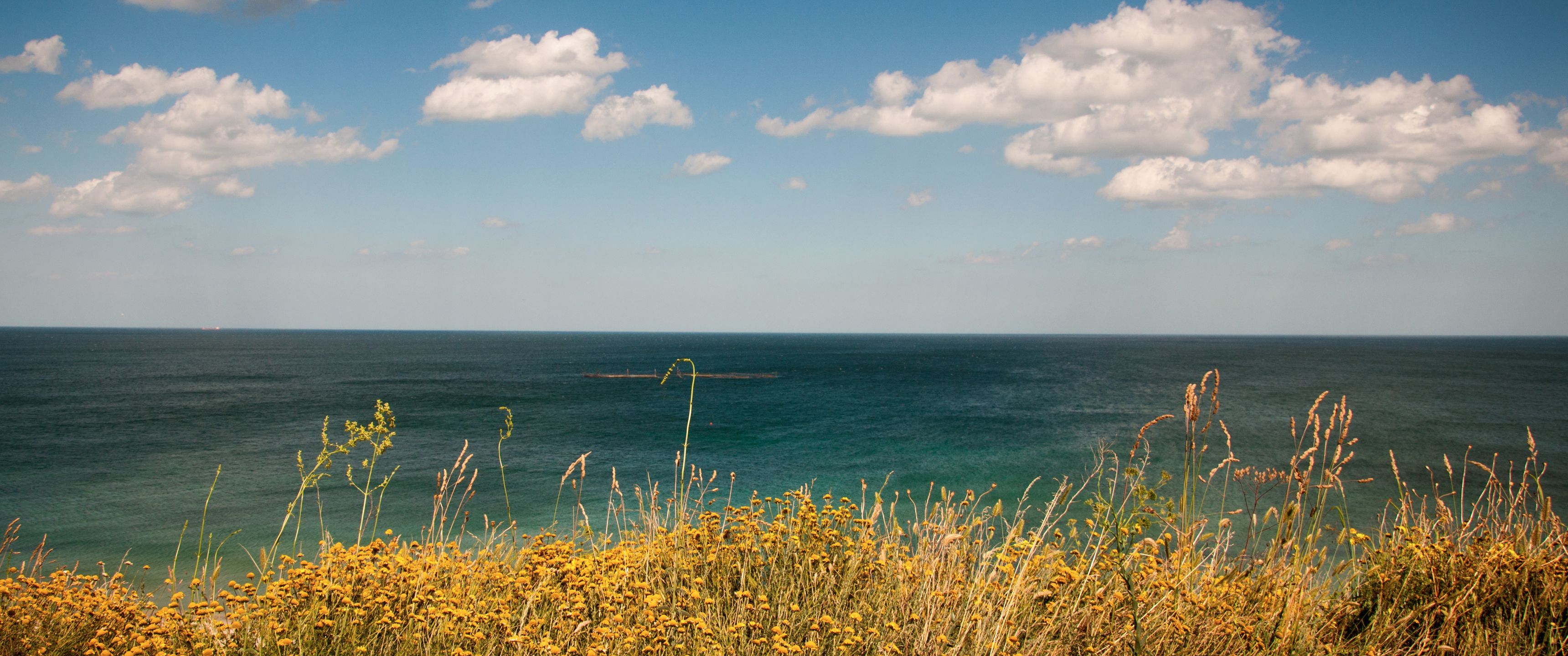 3440x1440 Ultra Wide Summer Wallpaper