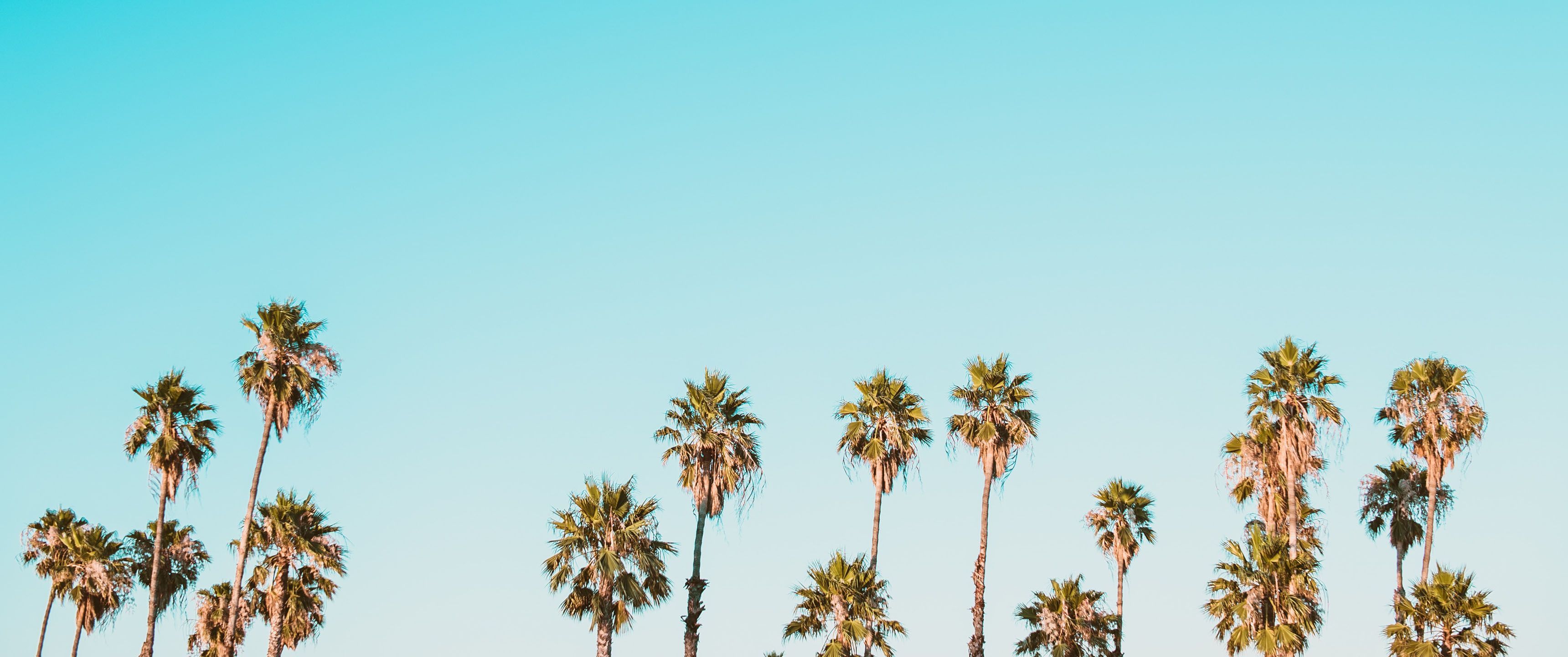 3440x1440 Summer Wallpaper