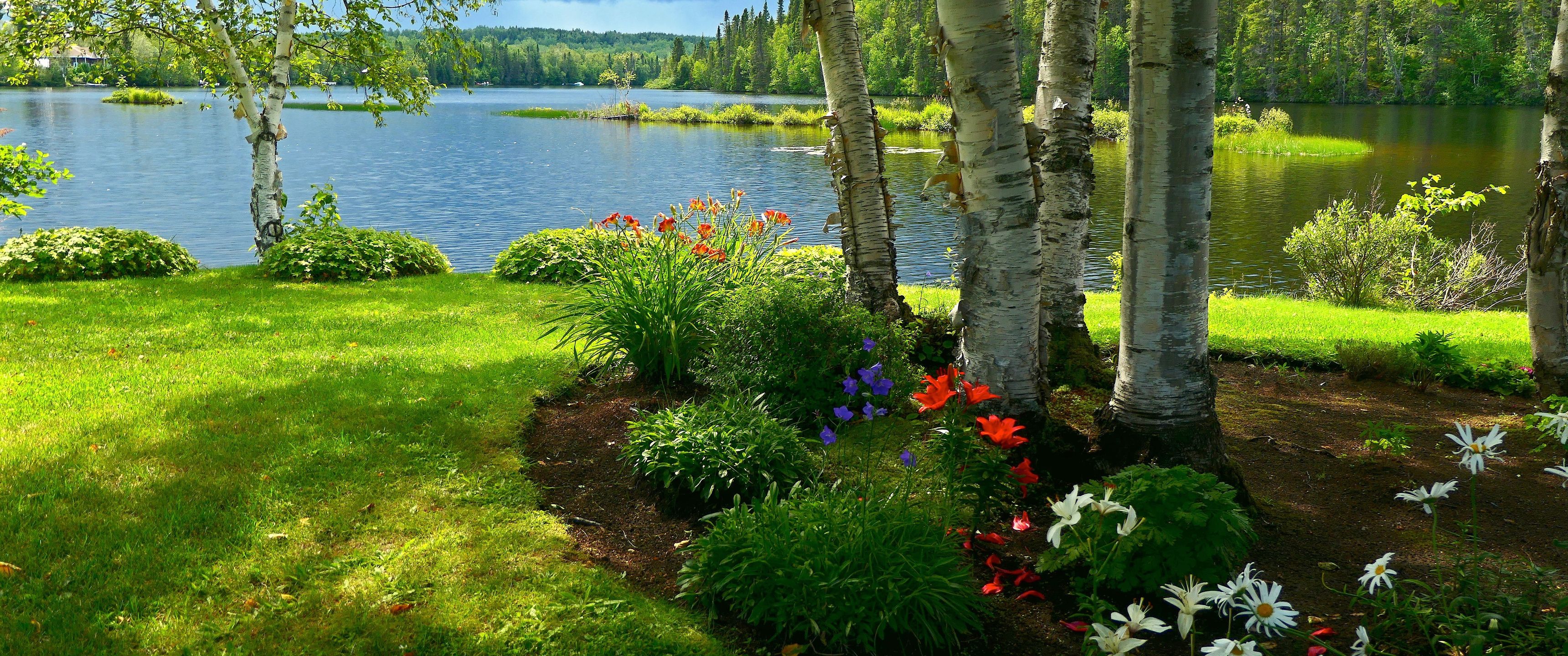 3440x1440 Download Landscape summer, Scenery, Summer, Trees, Birches, Flowers, Water, River Wallpaper in 3440x1440 Resolution