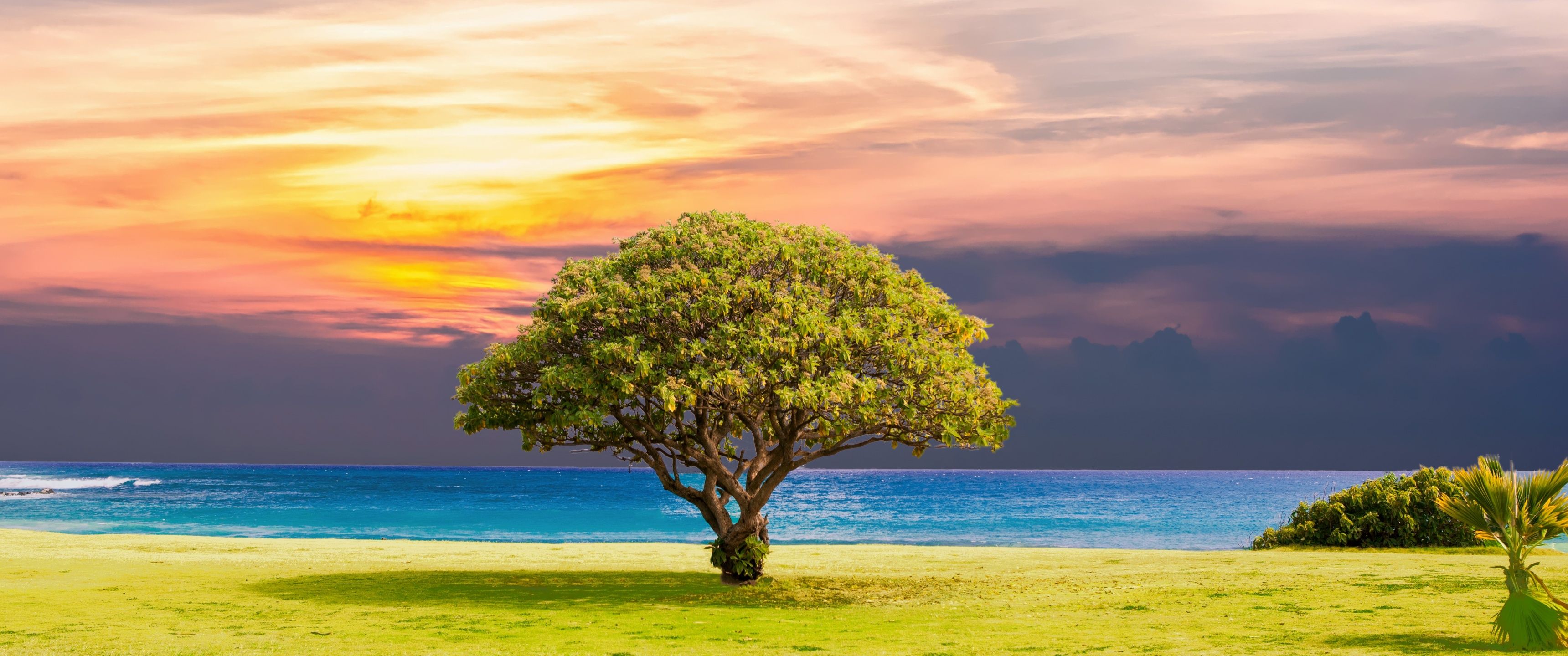 3440x1440 UltraWide Monitor QHD Wallpaperx1440 Wallpaper