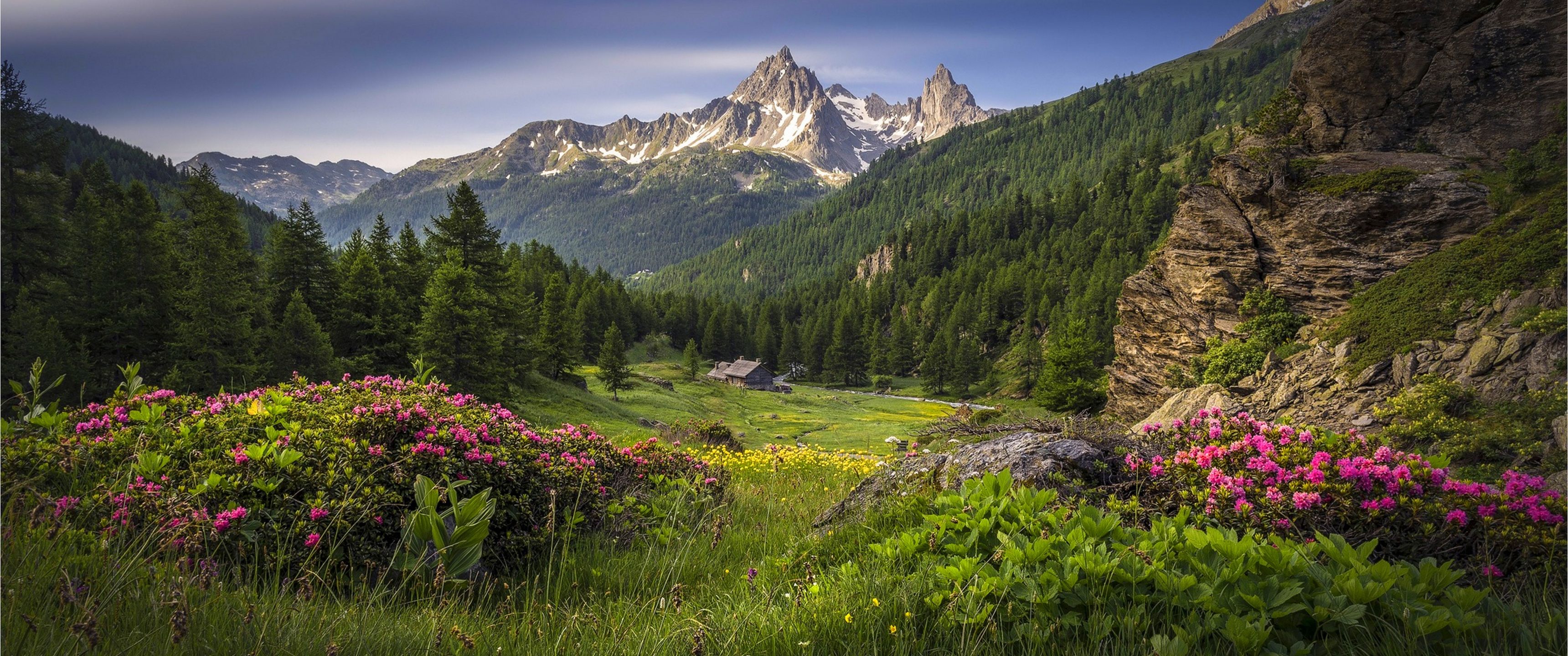 3440x1440 Download Nature, Field, Summer, Mountains, Wildflowers Wallpaper in 3440x1440 Resolution